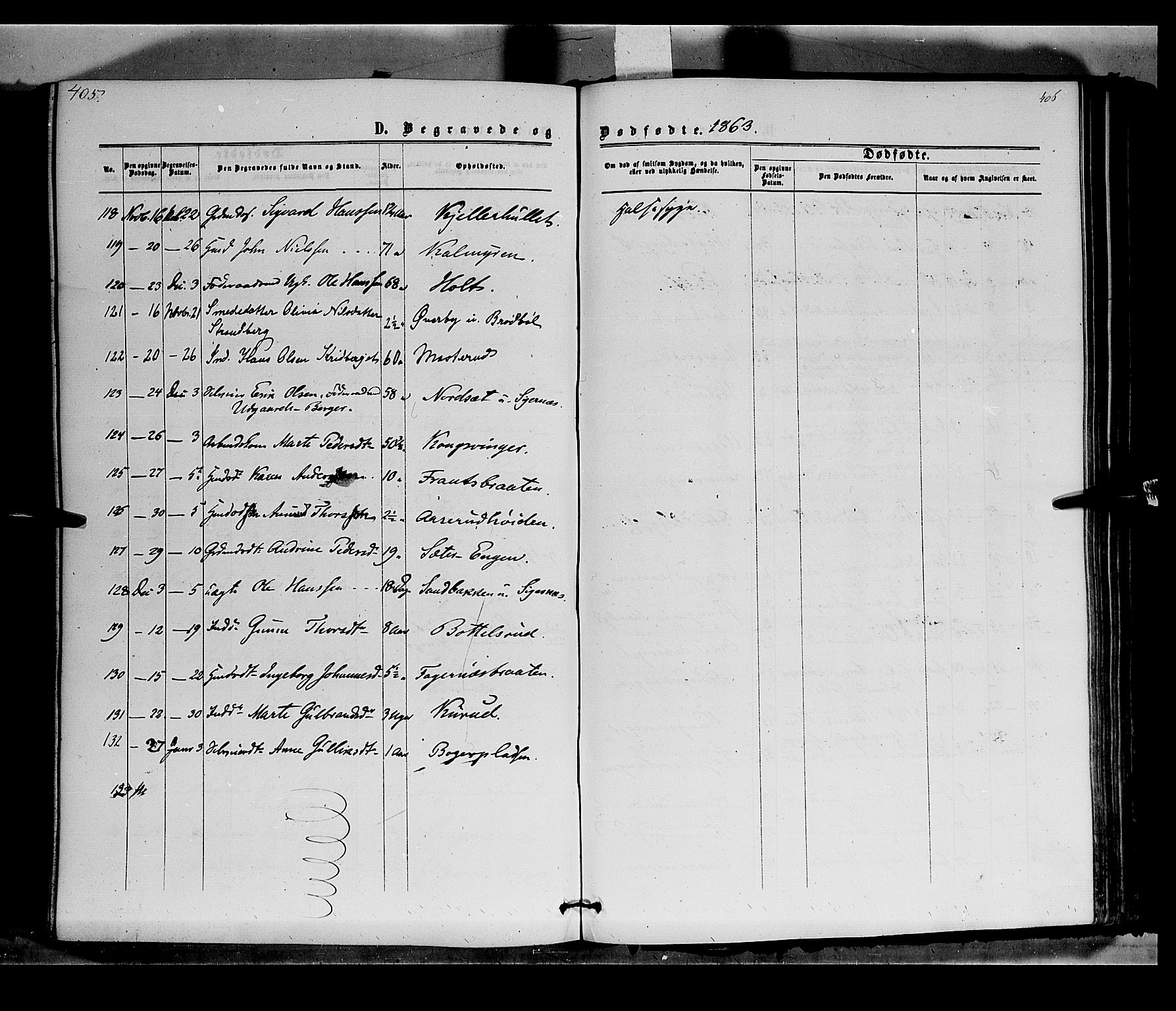 Vinger prestekontor, AV/SAH-PREST-024/H/Ha/Haa/L0011: Parish register (official) no. 11, 1862-1870, p. 406