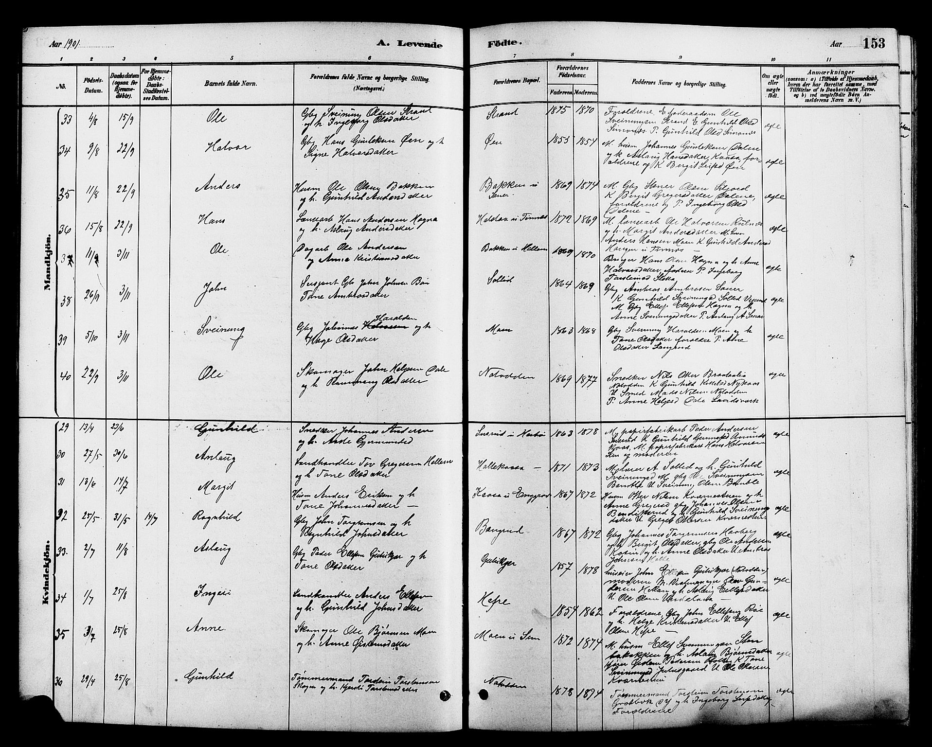 Heddal kirkebøker, SAKO/A-268/G/Ga/L0002: Parish register (copy) no. I 2, 1879-1908, p. 153