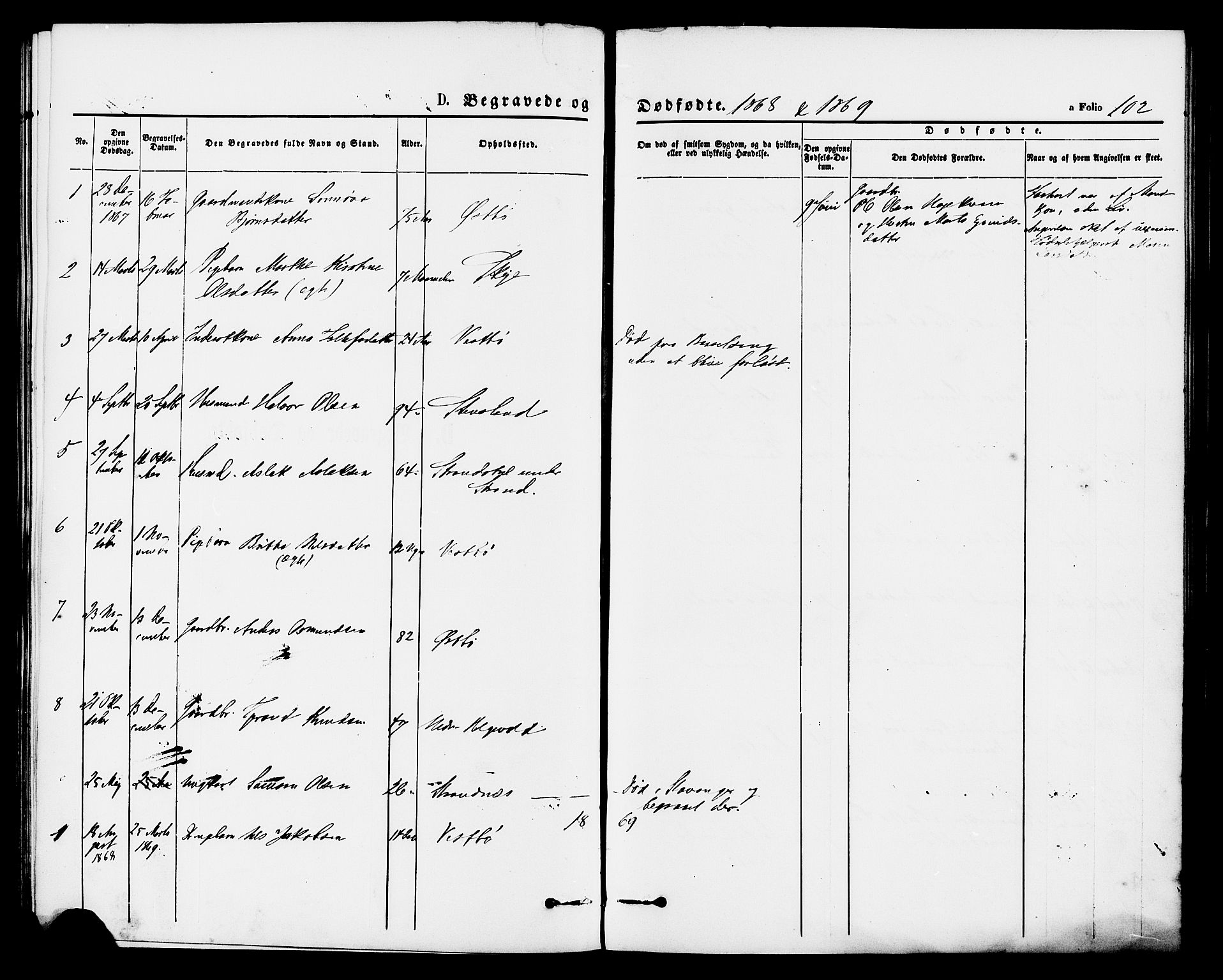 Vikedal sokneprestkontor, AV/SAST-A-101840/01/IV: Parish register (official) no. A 8, 1868-1885, p. 102