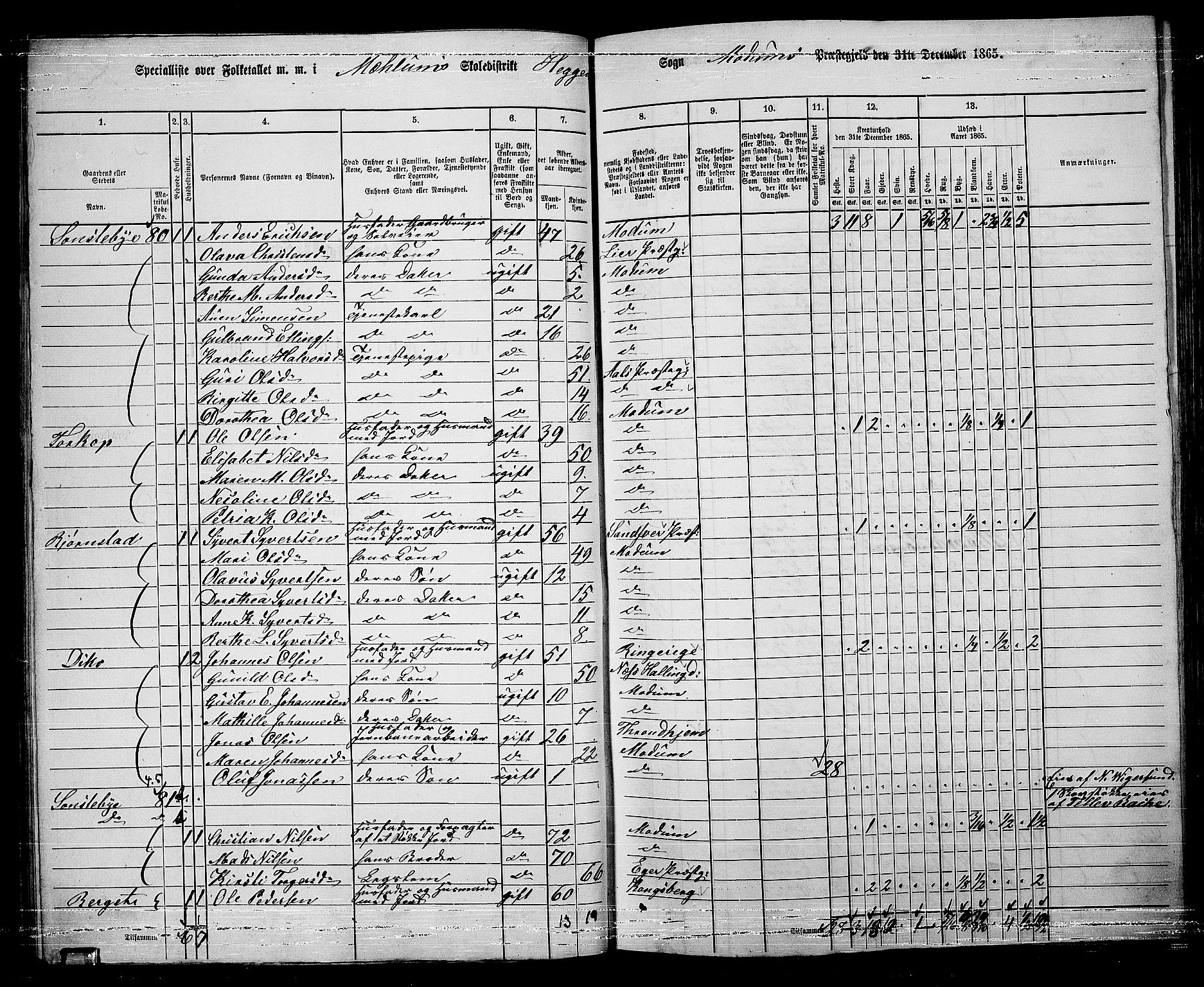 RA, 1865 census for Modum, 1865, p. 67