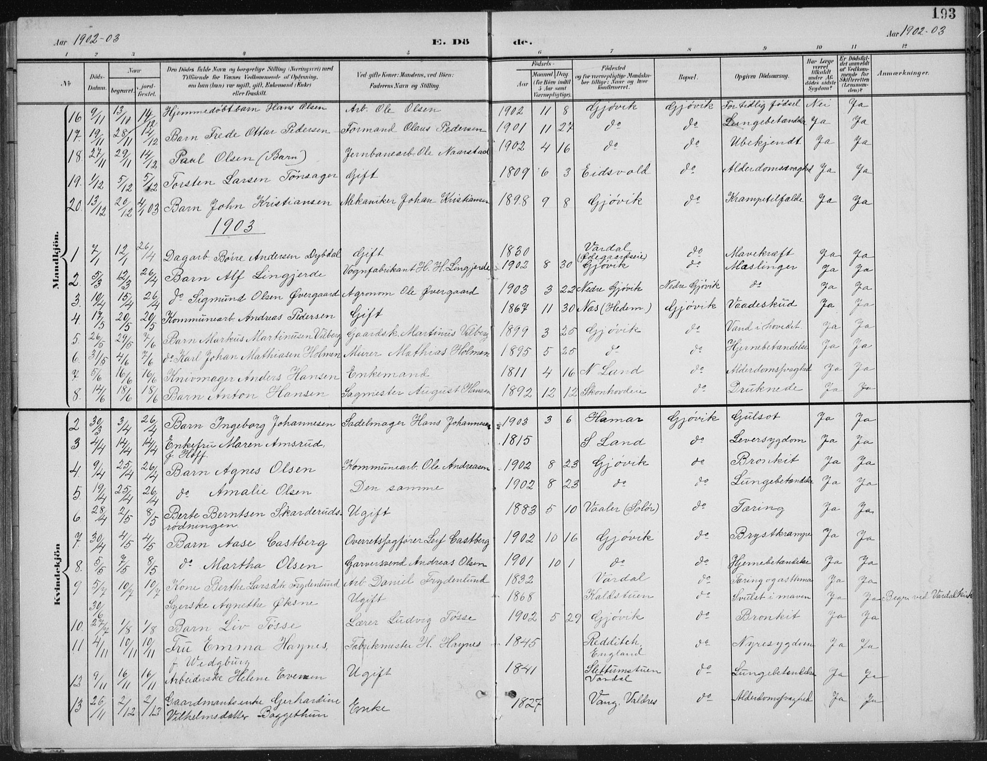 Vardal prestekontor, SAH/PREST-100/H/Ha/Haa/L0013: Parish register (official) no. 13, 1901-1911, p. 193