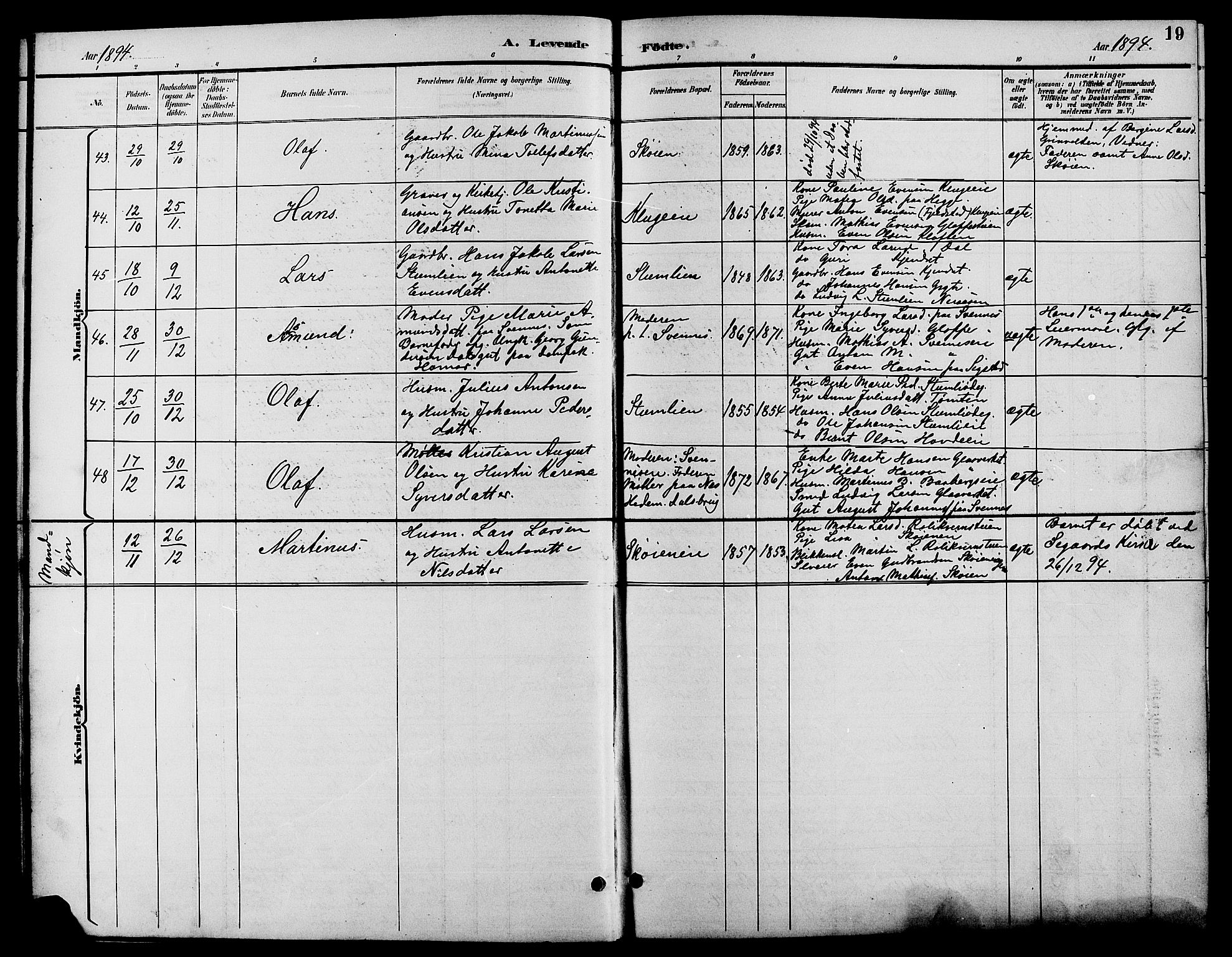 Biri prestekontor, SAH/PREST-096/H/Ha/Hab/L0004: Parish register (copy) no. 4, 1892-1909, p. 19