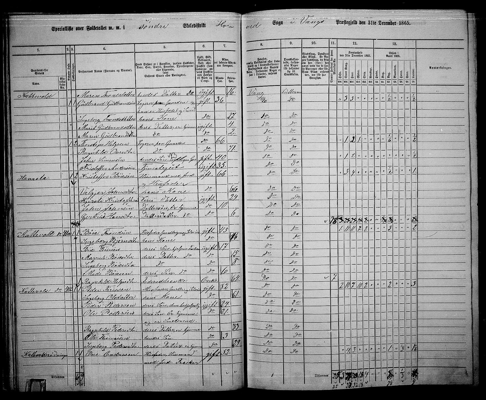 RA, 1865 census for Vang, 1865, p. 36