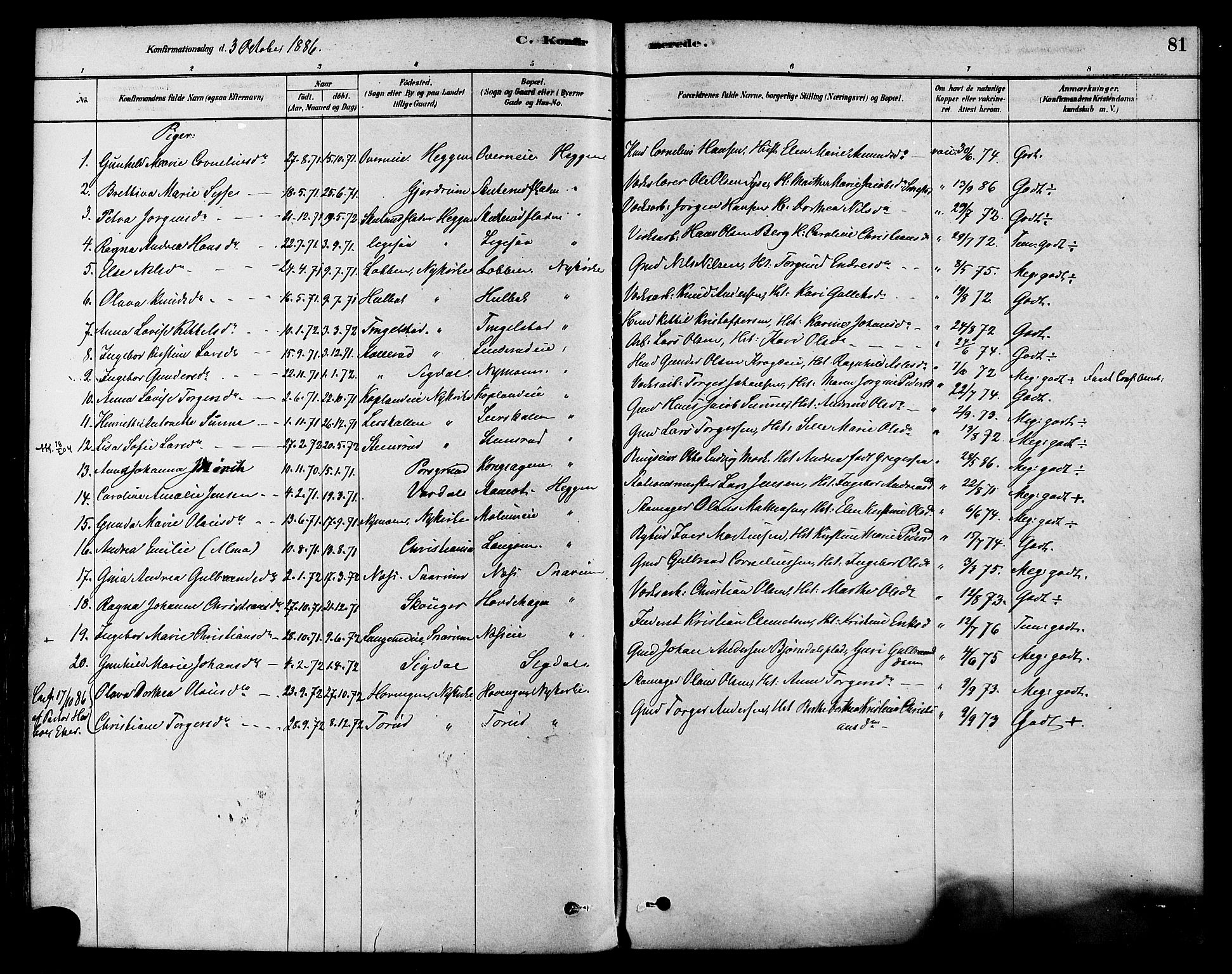 Modum kirkebøker, AV/SAKO-A-234/F/Fa/L0015: Parish register (official) no. 15 /1, 1877-1889, p. 81