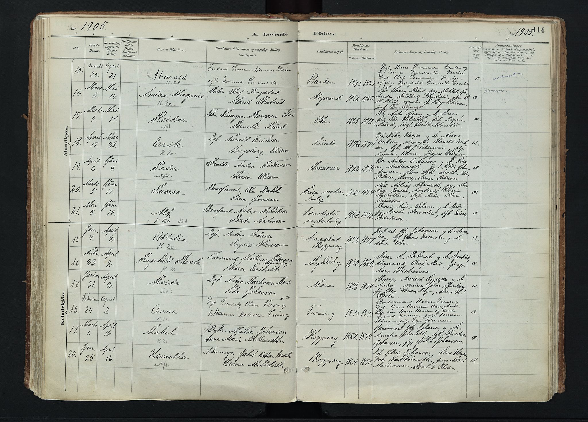 Stor-Elvdal prestekontor, AV/SAH-PREST-052/H/Ha/Haa/L0004: Parish register (official) no. 4, 1890-1922, p. 114