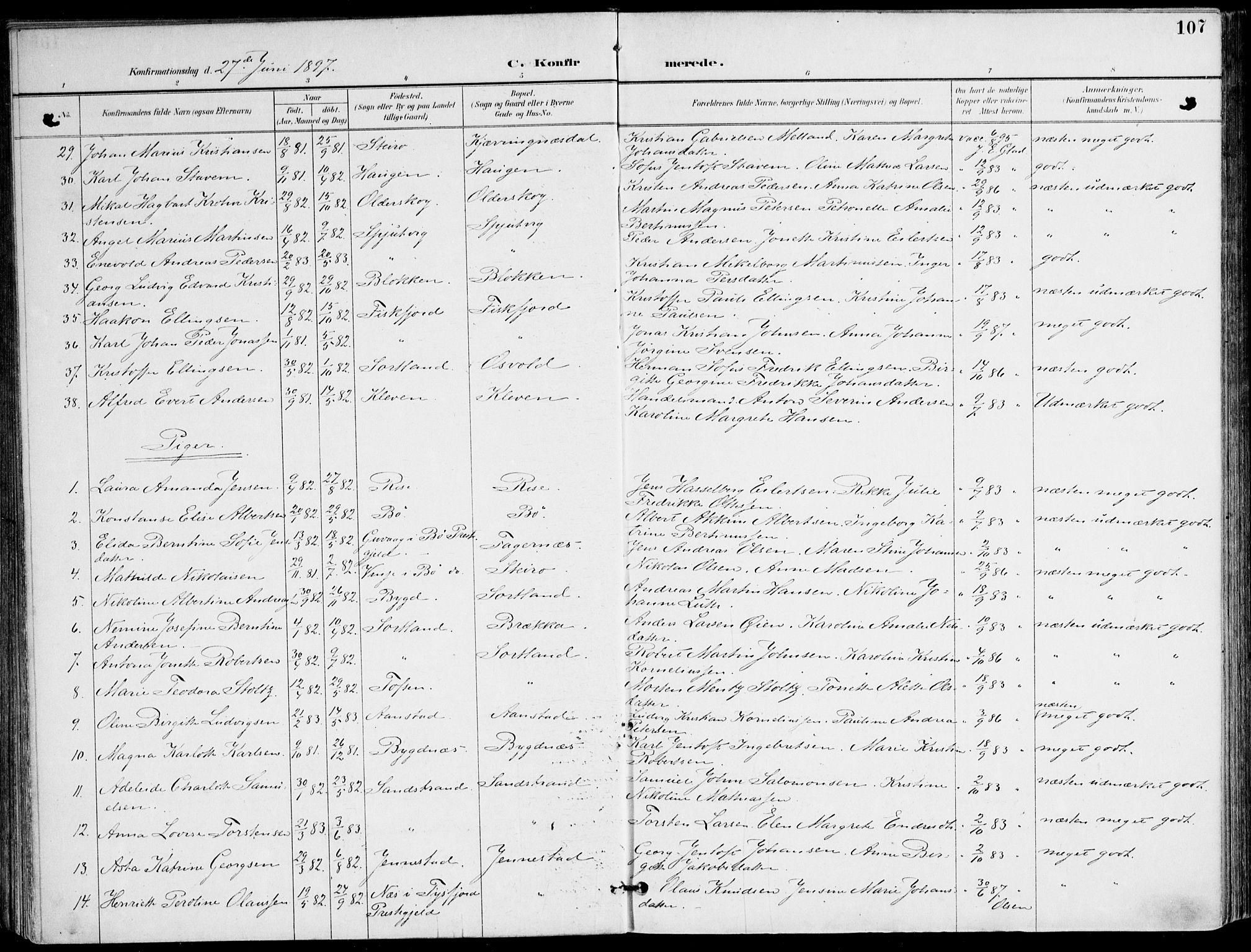 Ministerialprotokoller, klokkerbøker og fødselsregistre - Nordland, AV/SAT-A-1459/895/L1372: Parish register (official) no. 895A07, 1894-1914, p. 107