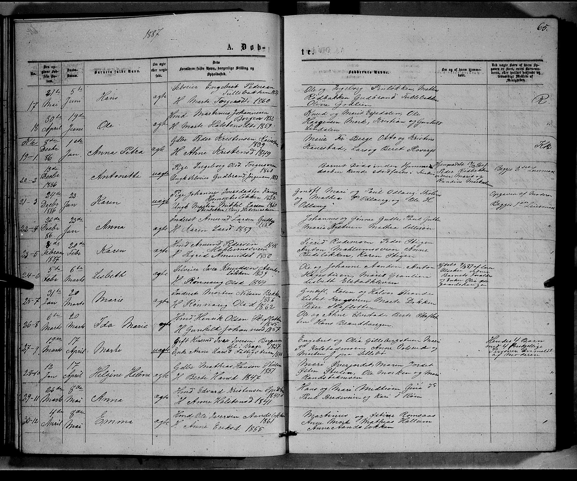 Ringebu prestekontor, AV/SAH-PREST-082/H/Ha/Hab/L0006: Parish register (copy) no. 6, 1880-1898, p. 65