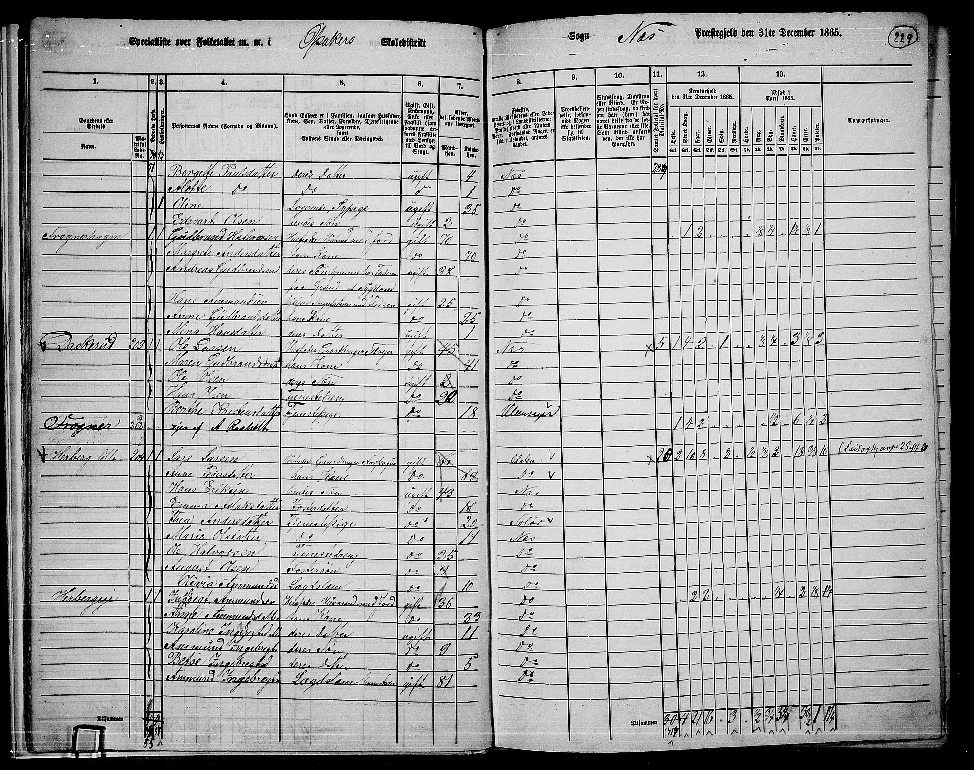 RA, 1865 census for Nes, 1865, p. 212