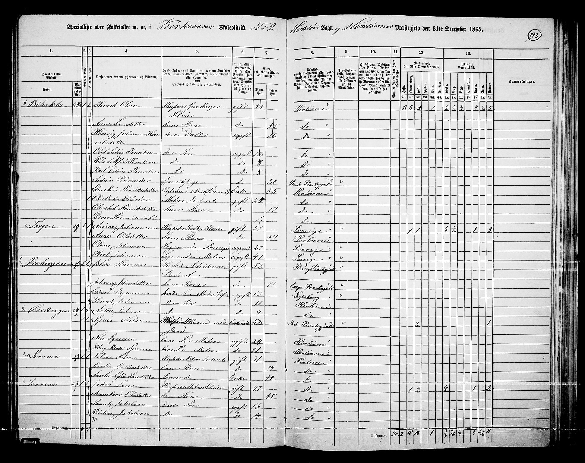 RA, 1865 census for Hvaler, 1865, p. 34