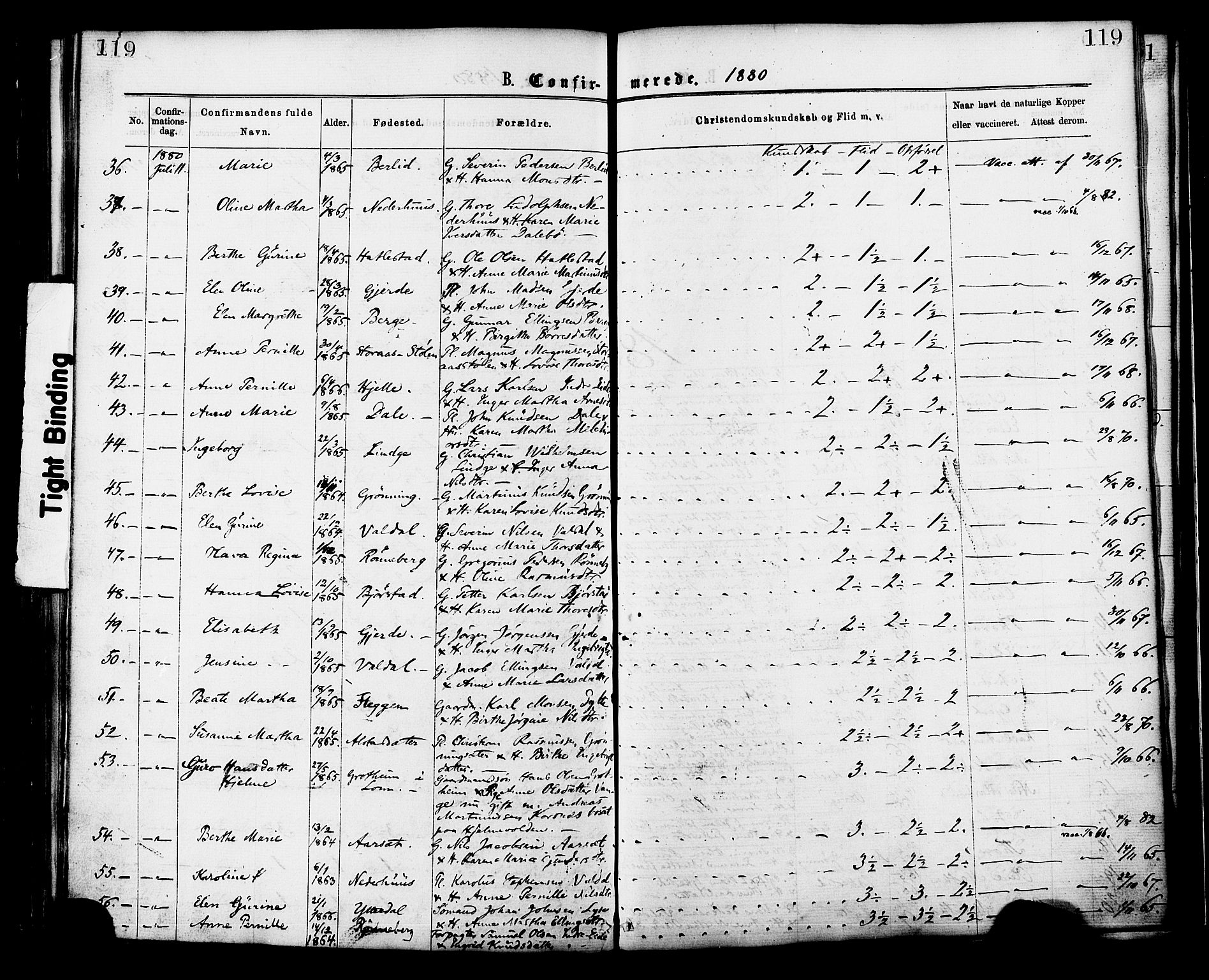 Ministerialprotokoller, klokkerbøker og fødselsregistre - Møre og Romsdal, AV/SAT-A-1454/519/L0254: Parish register (official) no. 519A13, 1868-1883, p. 119