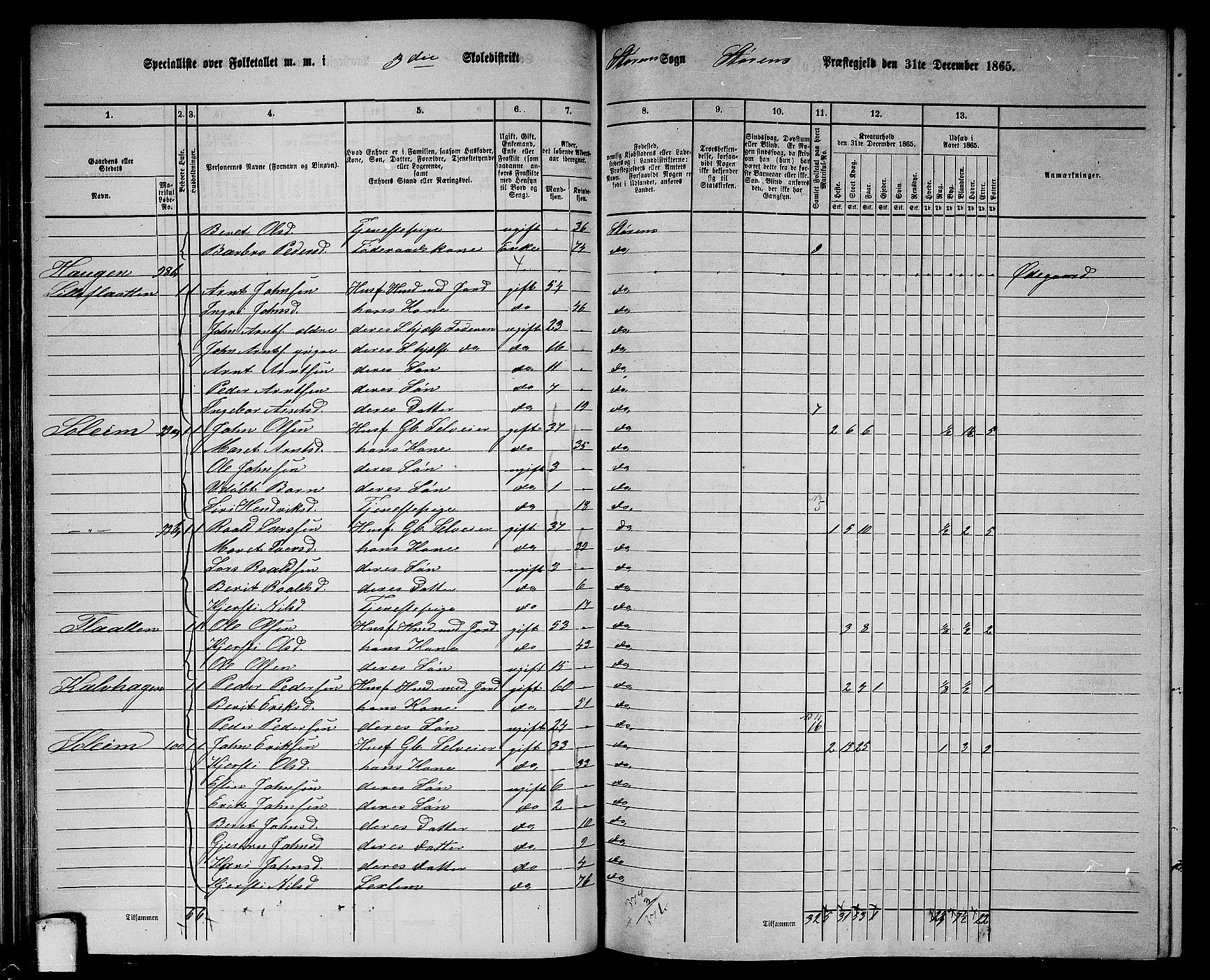 RA, 1865 census for Støren, 1865, p. 62