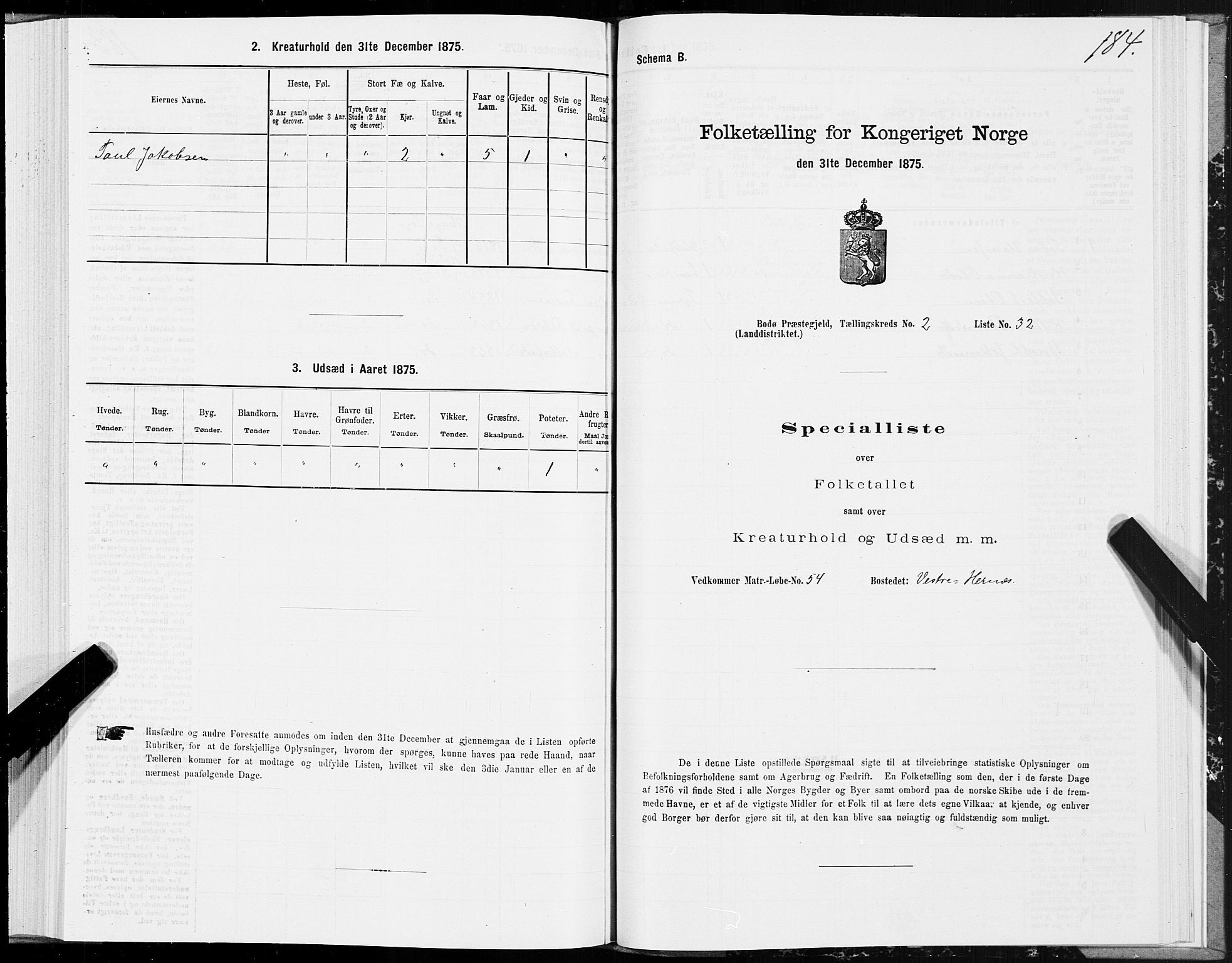 SAT, 1875 census for 1843L Bodø/Bodø, 1875, p. 1184