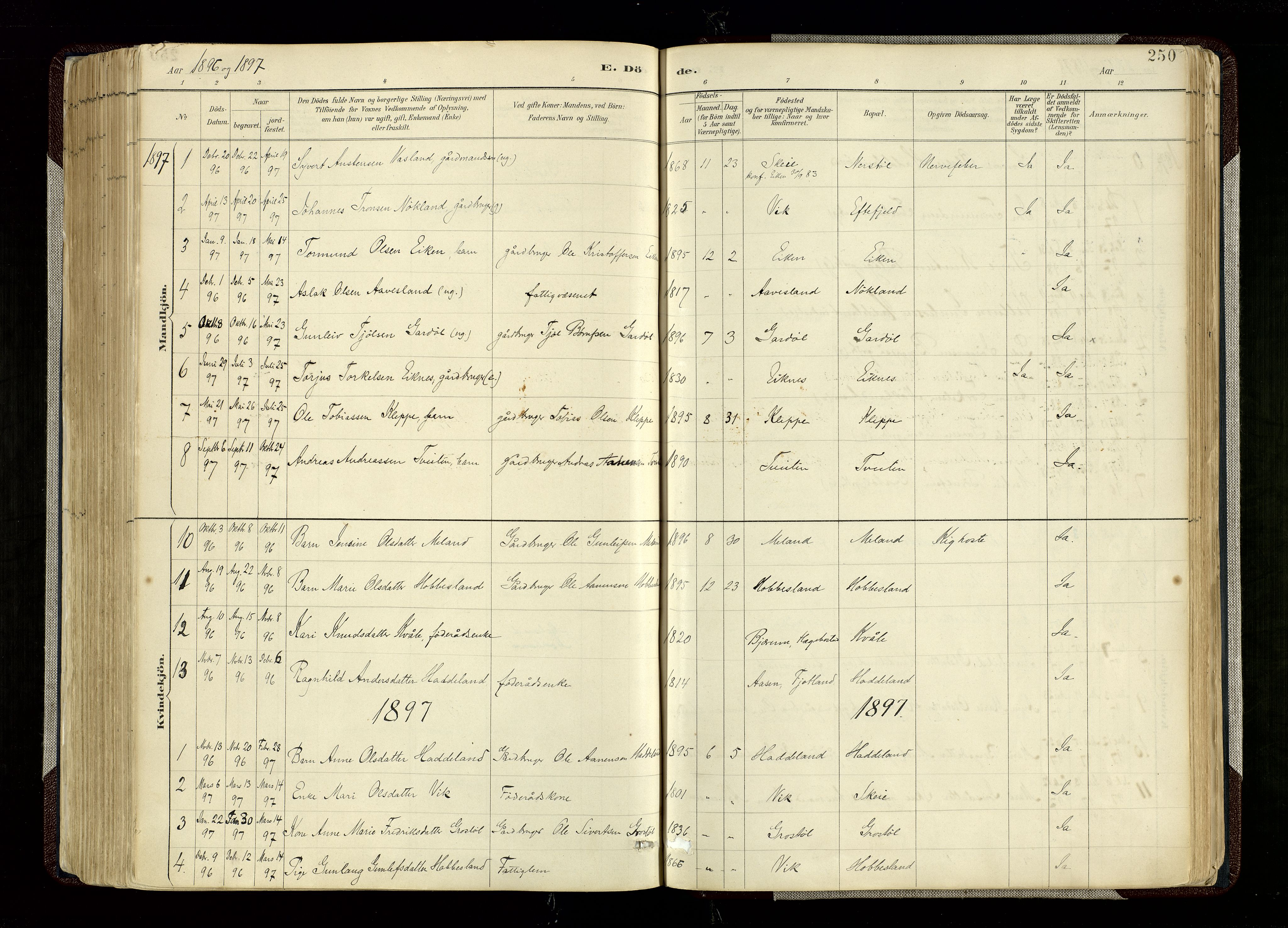 Hægebostad sokneprestkontor, AV/SAK-1111-0024/F/Fa/Fab/L0004: Parish register (official) no. A 4, 1887-1929, p. 250