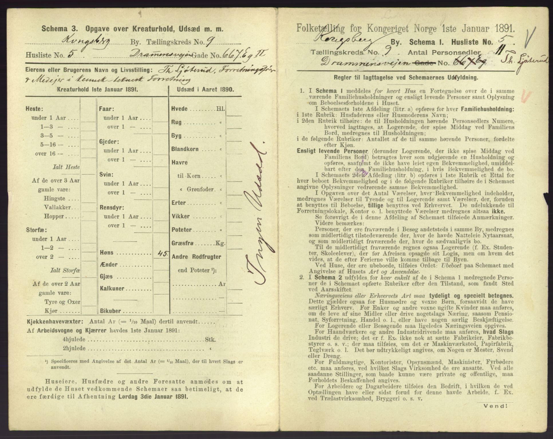 RA, 1891 census for 0604 Kongsberg, 1891, p. 1229