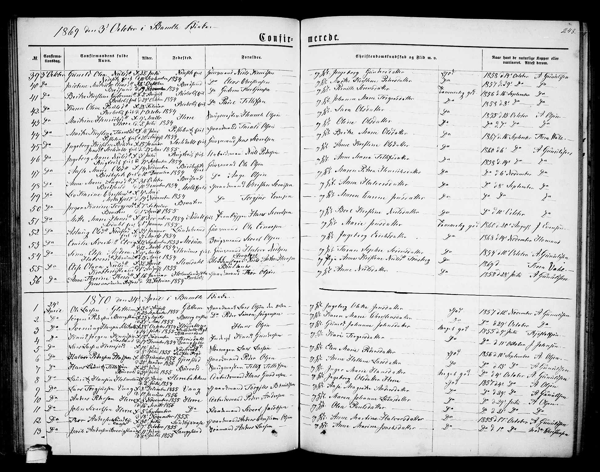 Bamble kirkebøker, SAKO/A-253/G/Ga/L0006: Parish register (copy) no. I 6, 1860-1876, p. 243