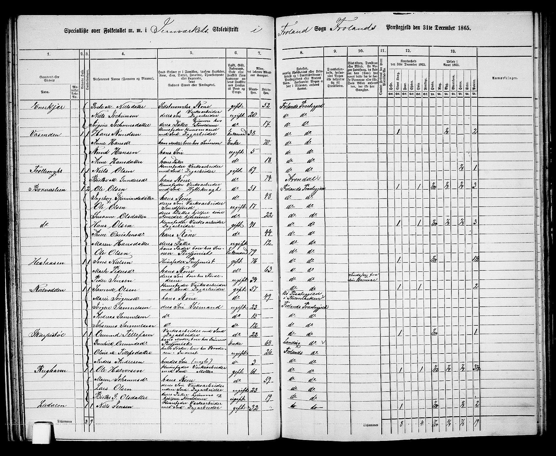 RA, 1865 census for Froland, 1865, p. 40