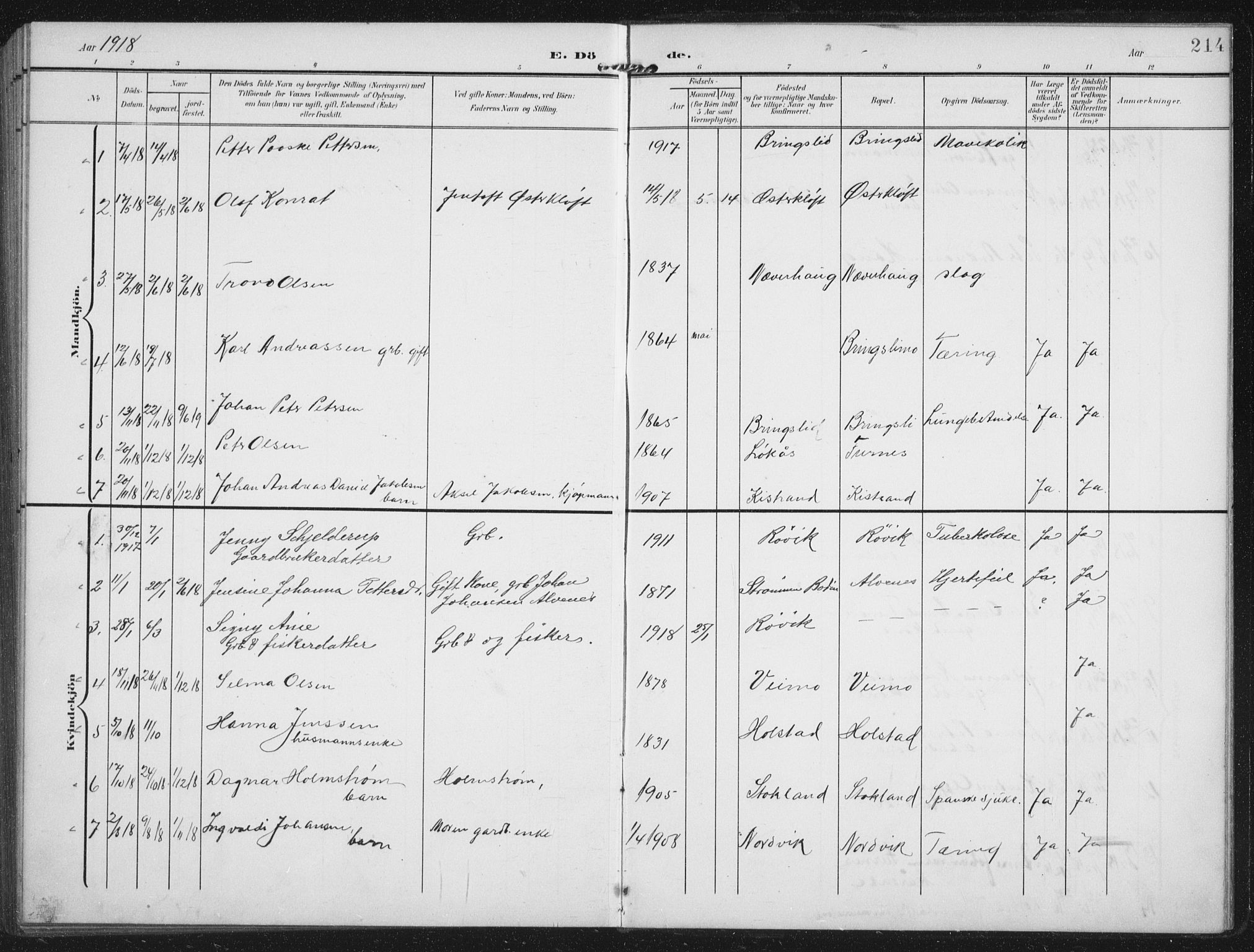 Ministerialprotokoller, klokkerbøker og fødselsregistre - Nordland, AV/SAT-A-1459/851/L0726: Parish register (copy) no. 851C01, 1902-1924, p. 214