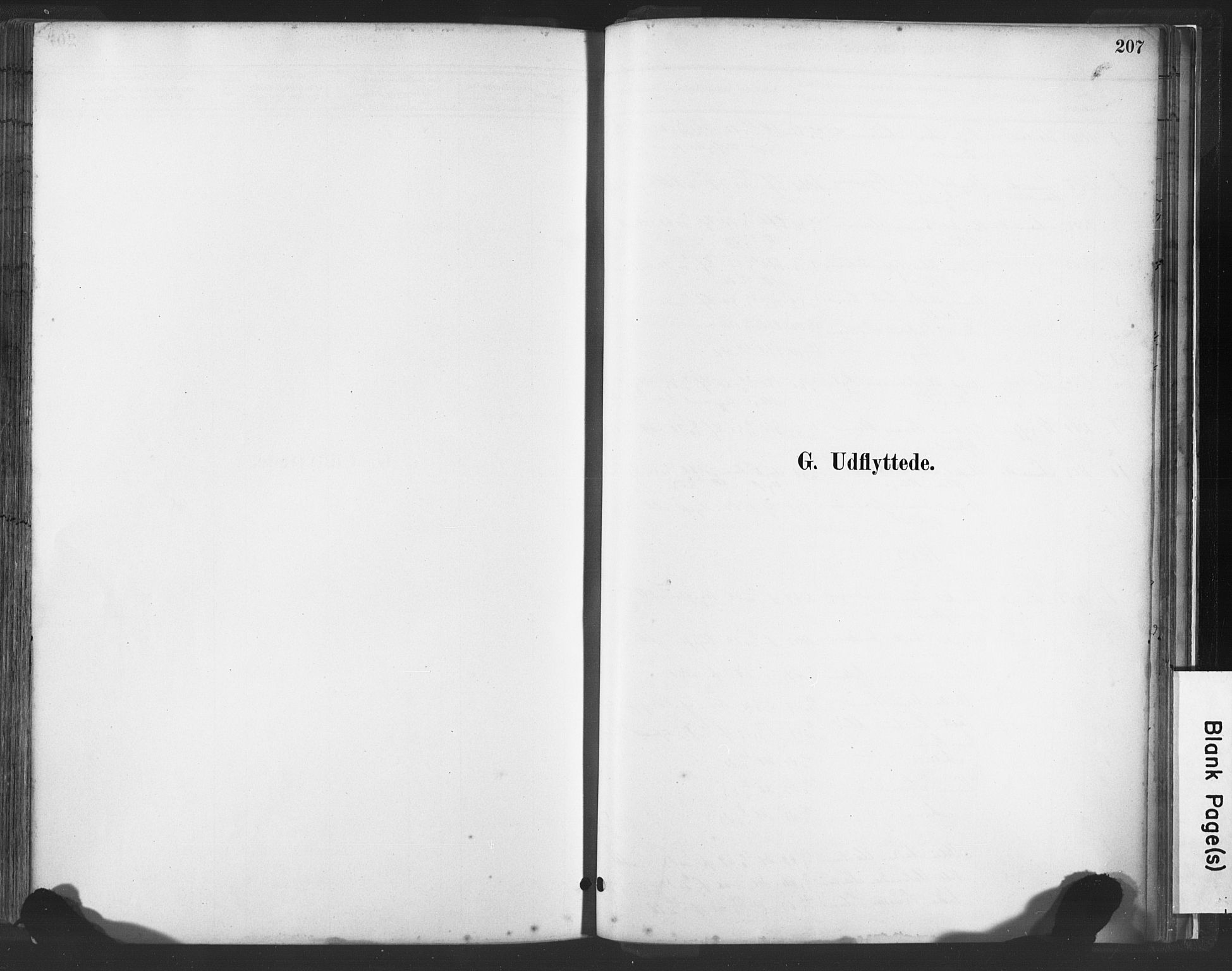 Lye sokneprestkontor, SAST/A-101794/001/30BA/L0010: Parish register (official) no. A 10, 1881-1896, p. 207
