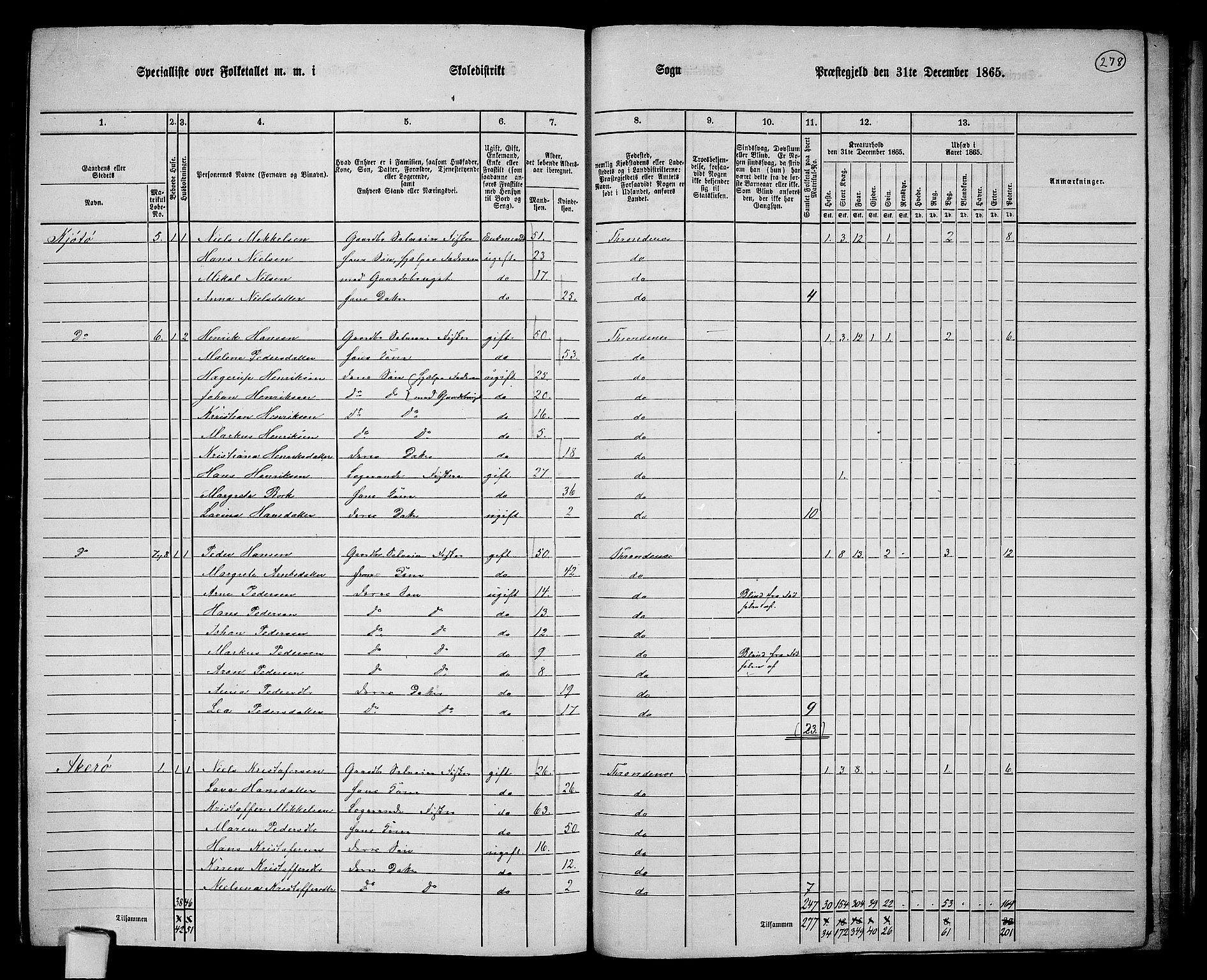 RA, 1865 census for Trondenes, 1865, p. 163