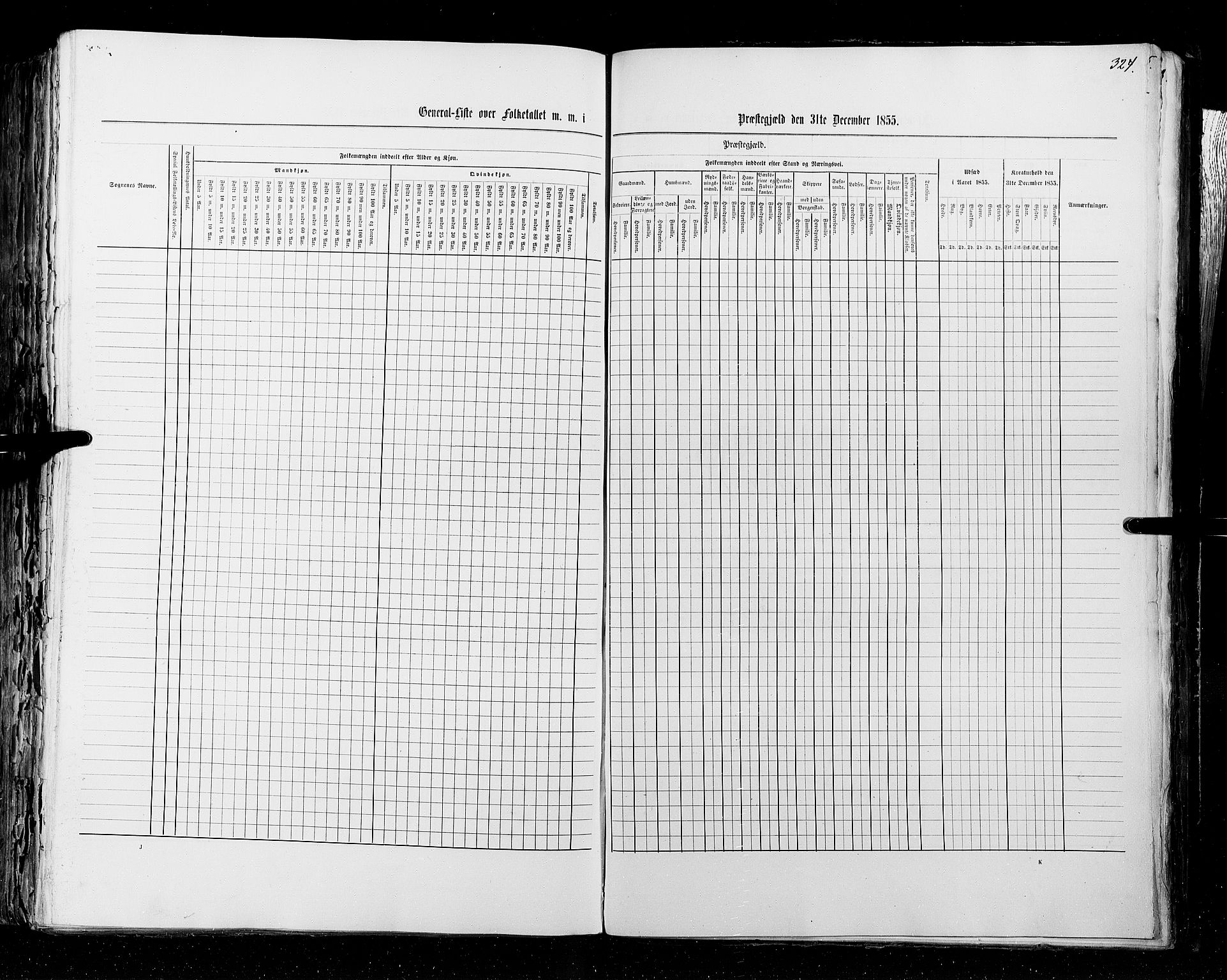 RA, Census 1855, vol. 2: Kristians amt, Buskerud amt og Jarlsberg og Larvik amt, 1855, p. 324