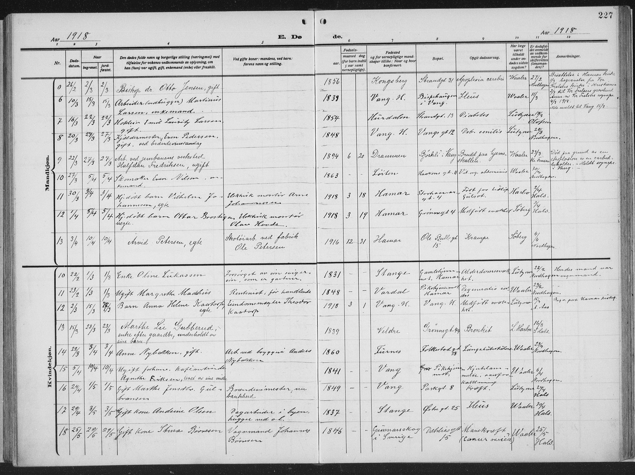Hamar prestekontor, SAH/DOMPH-002/H/Ha/Haa/L0002: Parish register (official) no. 2, 1915-1936, p. 227