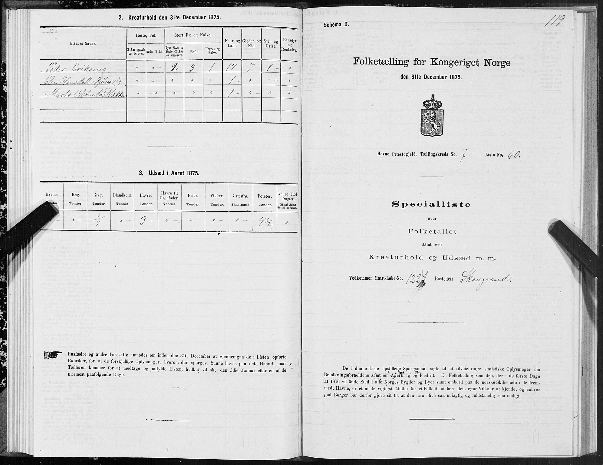 SAT, 1875 census for 1612P Hemne, 1875, p. 4119