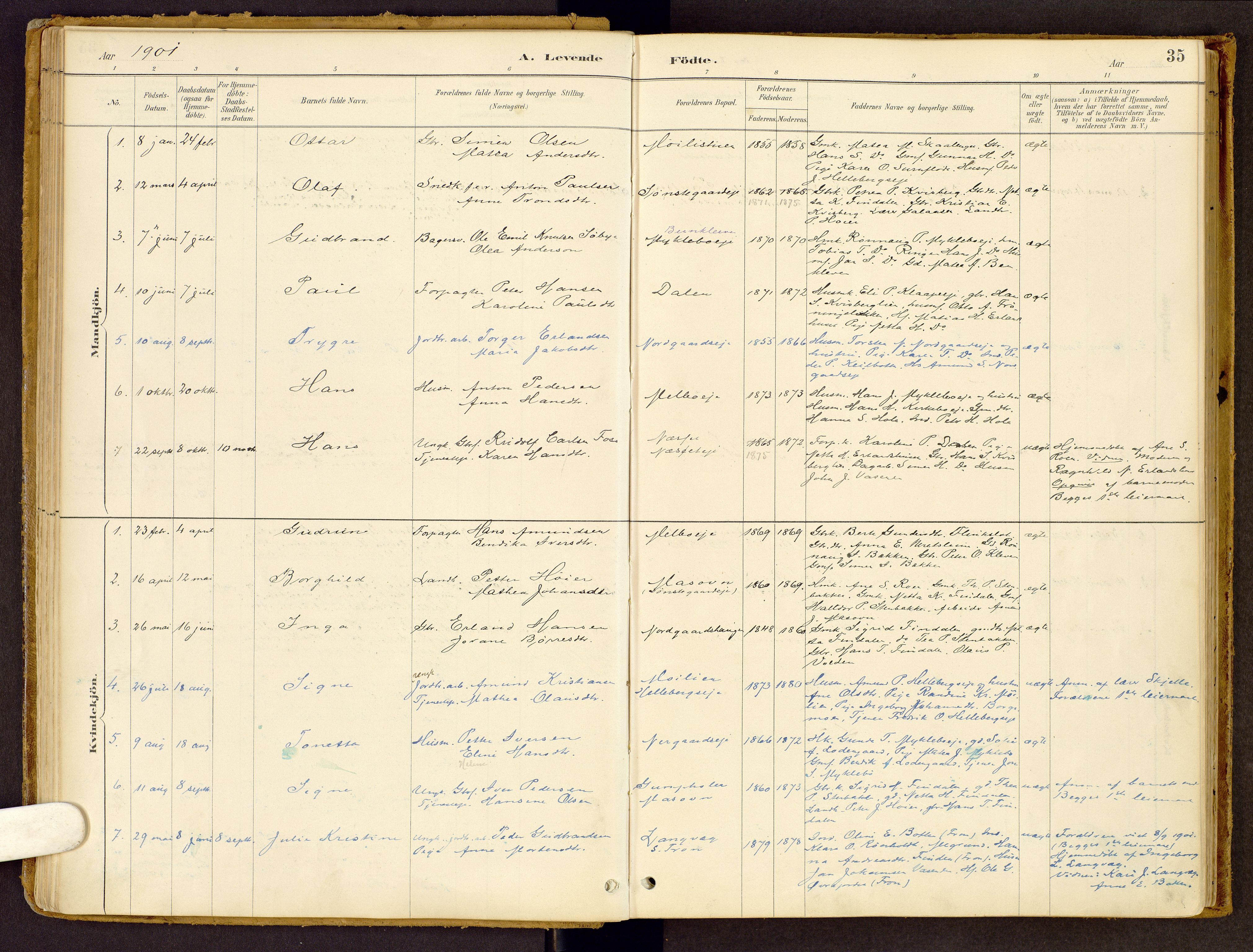 Vestre Gausdal prestekontor, SAH/PREST-094/H/Ha/Haa/L0002: Parish register (official) no. 2, 1887-1918, p. 35