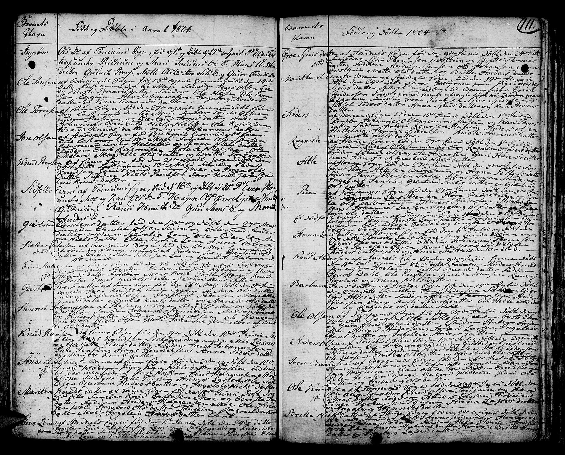 Lærdal sokneprestembete, AV/SAB-A-81201: Parish register (official) no. A 3, 1783-1804, p. 111