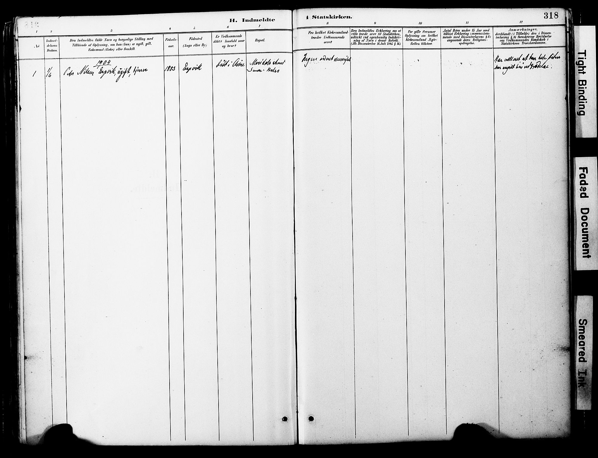 Ministerialprotokoller, klokkerbøker og fødselsregistre - Møre og Romsdal, AV/SAT-A-1454/578/L0907: Parish register (official) no. 578A06, 1887-1904, p. 318