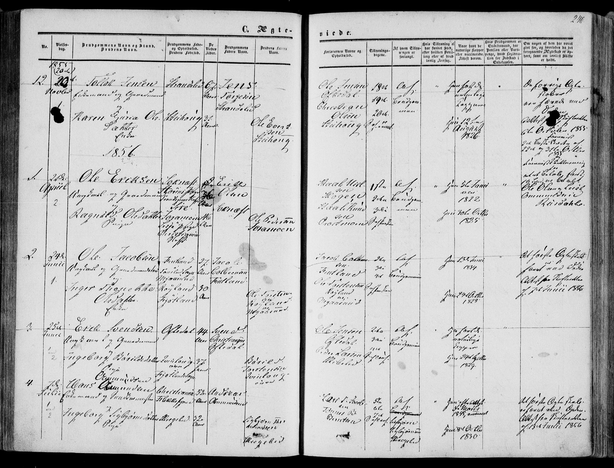 Bakke sokneprestkontor, SAK/1111-0002/F/Fa/Faa/L0006: Parish register (official) no. A 6, 1855-1877, p. 246