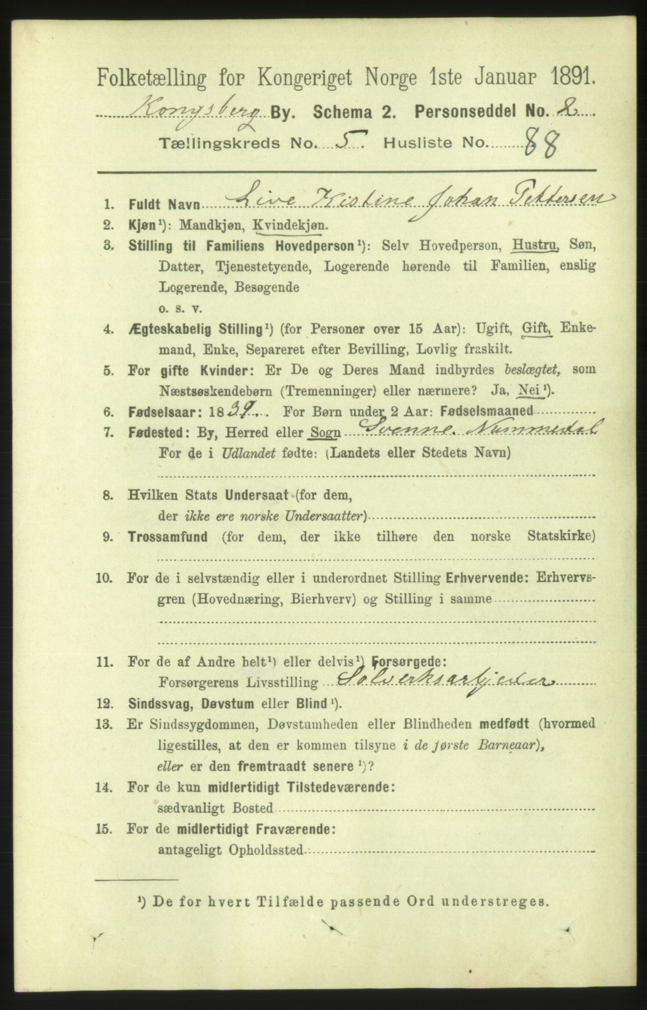 RA, 1891 census for 0604 Kongsberg, 1891, p. 4838