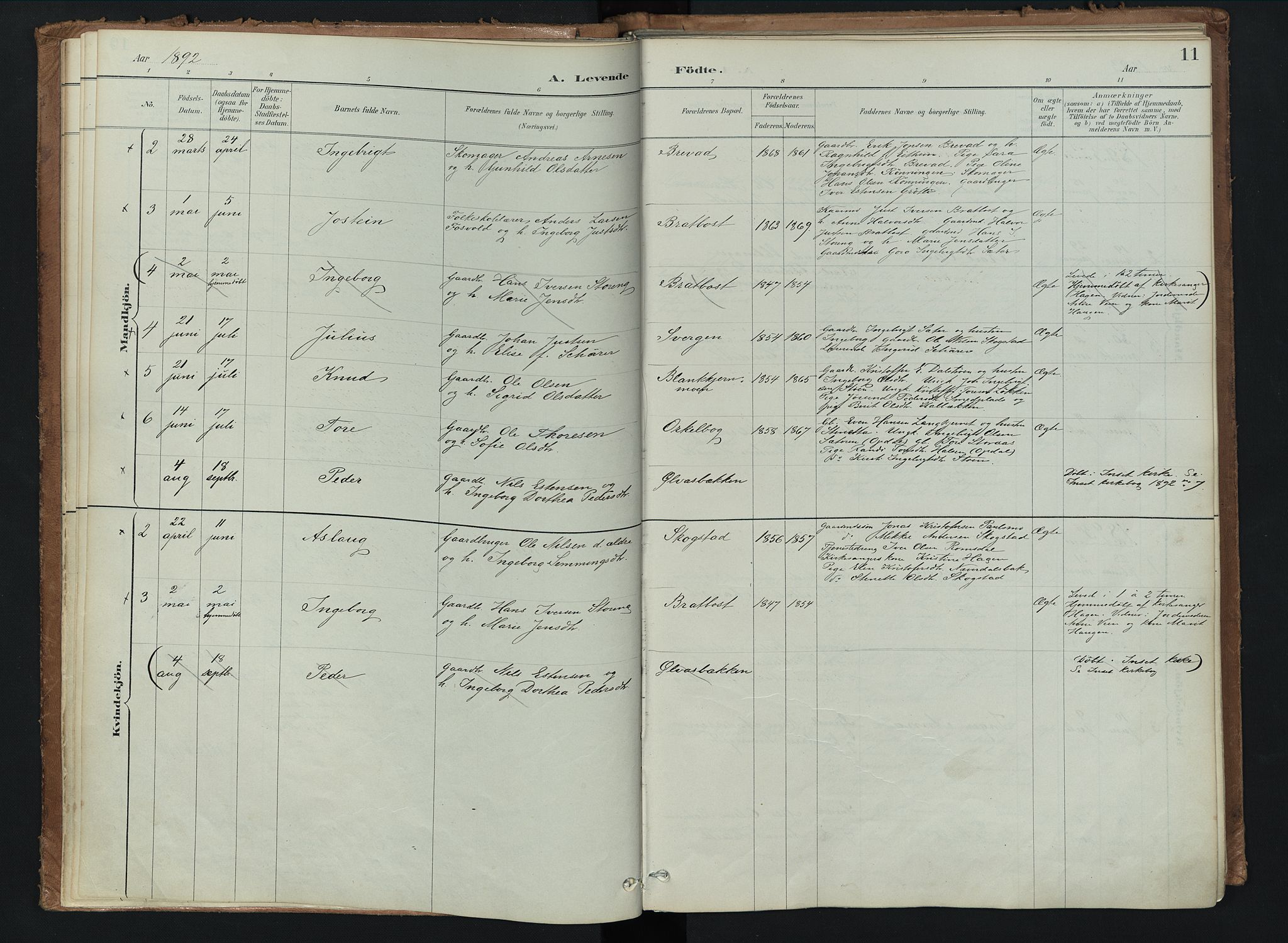 Kvikne prestekontor, AV/SAH-PREST-064/H/Ha/Haa/L0008: Parish register (official) no. 8, 1887-1911, p. 11