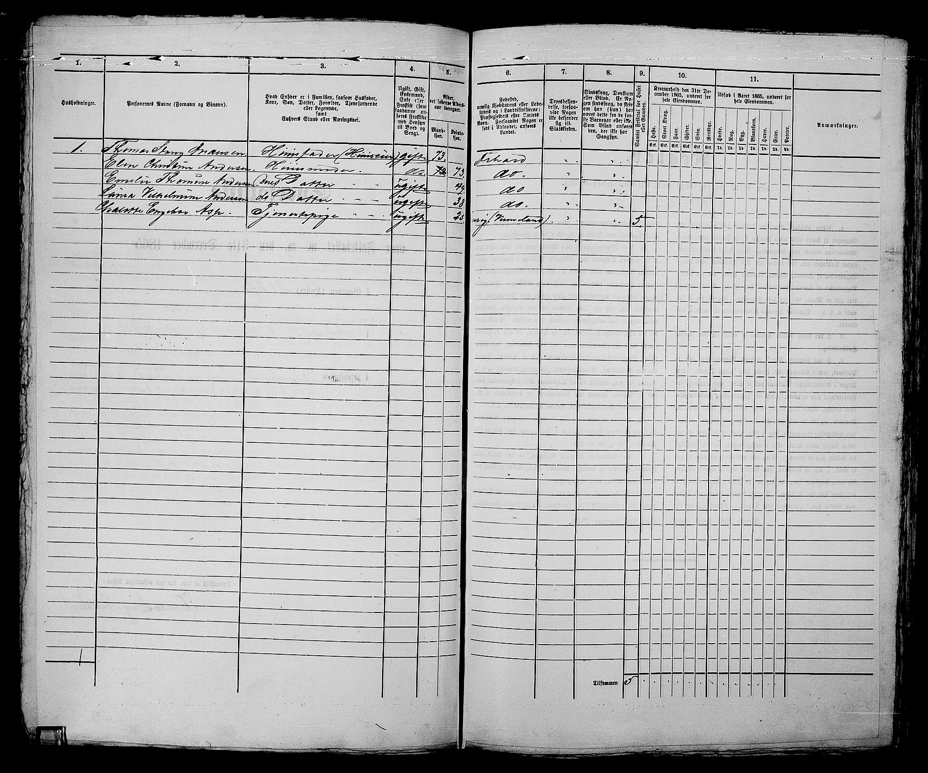 RA, 1865 census for Fredrikshald, 1865, p. 965