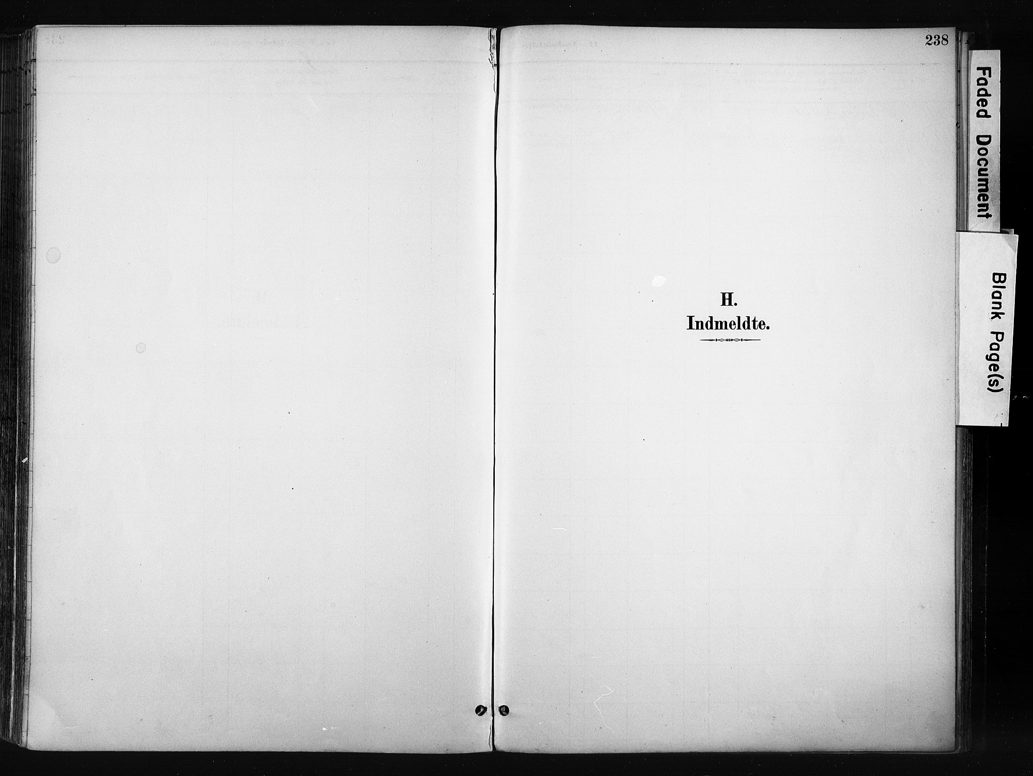 Gran prestekontor, AV/SAH-PREST-112/H/Ha/Haa/L0017: Parish register (official) no. 17, 1889-1897, p. 238
