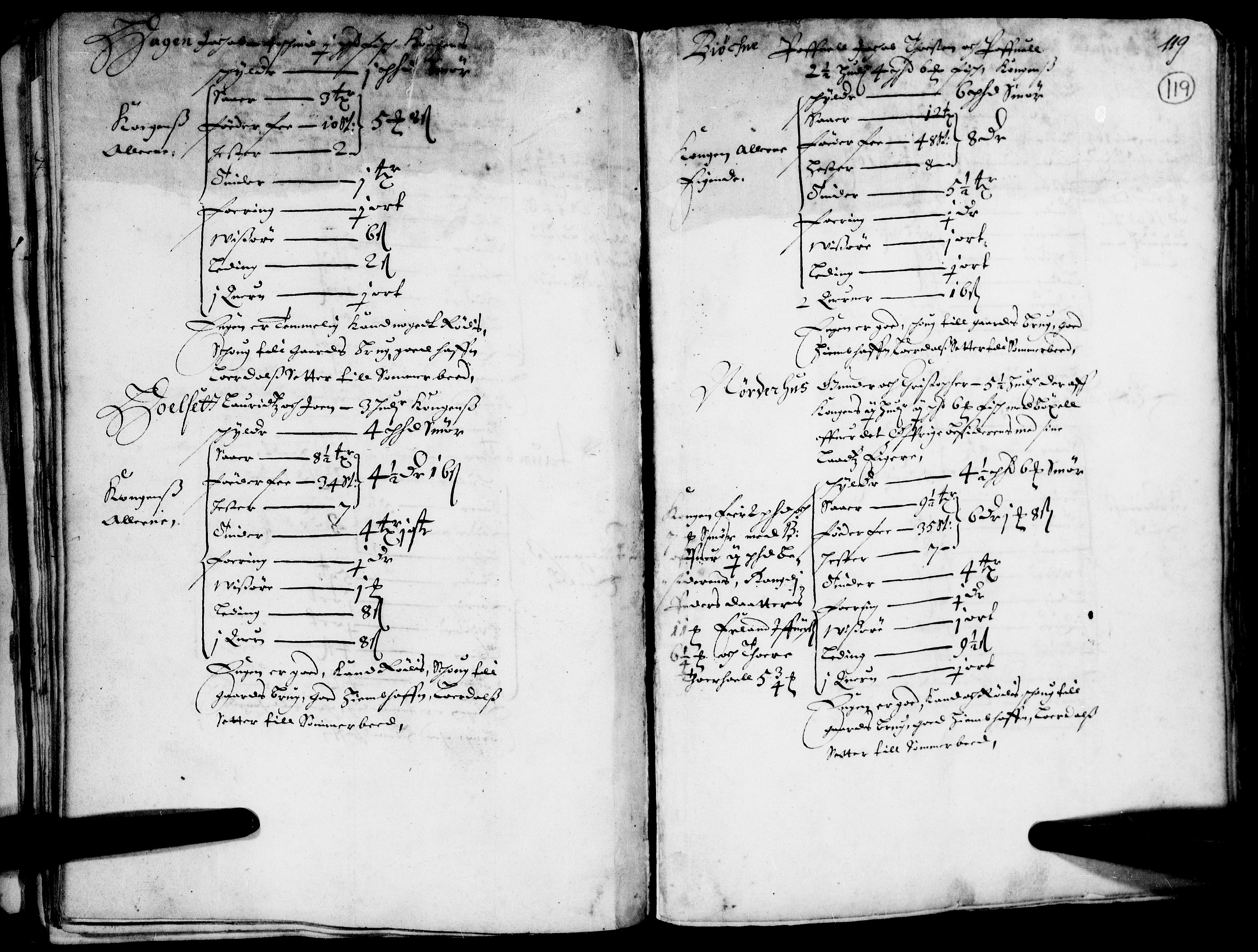 Rentekammeret inntil 1814, Realistisk ordnet avdeling, AV/RA-EA-4070/N/Nb/Nba/L0014: Gudbrandsdalen fogderi, 1. del, 1668, p. 118b-119a