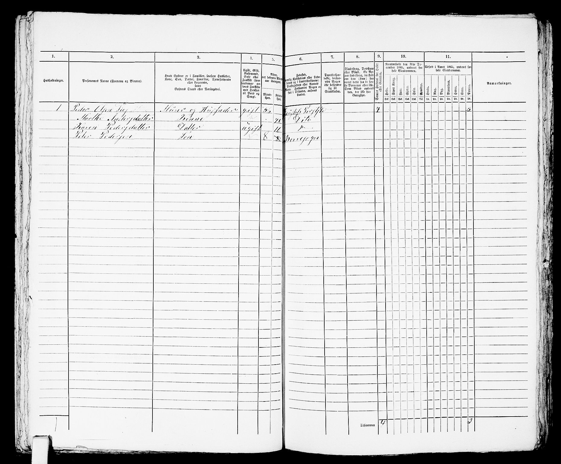 RA, 1865 census for Horten, 1865, p. 1010