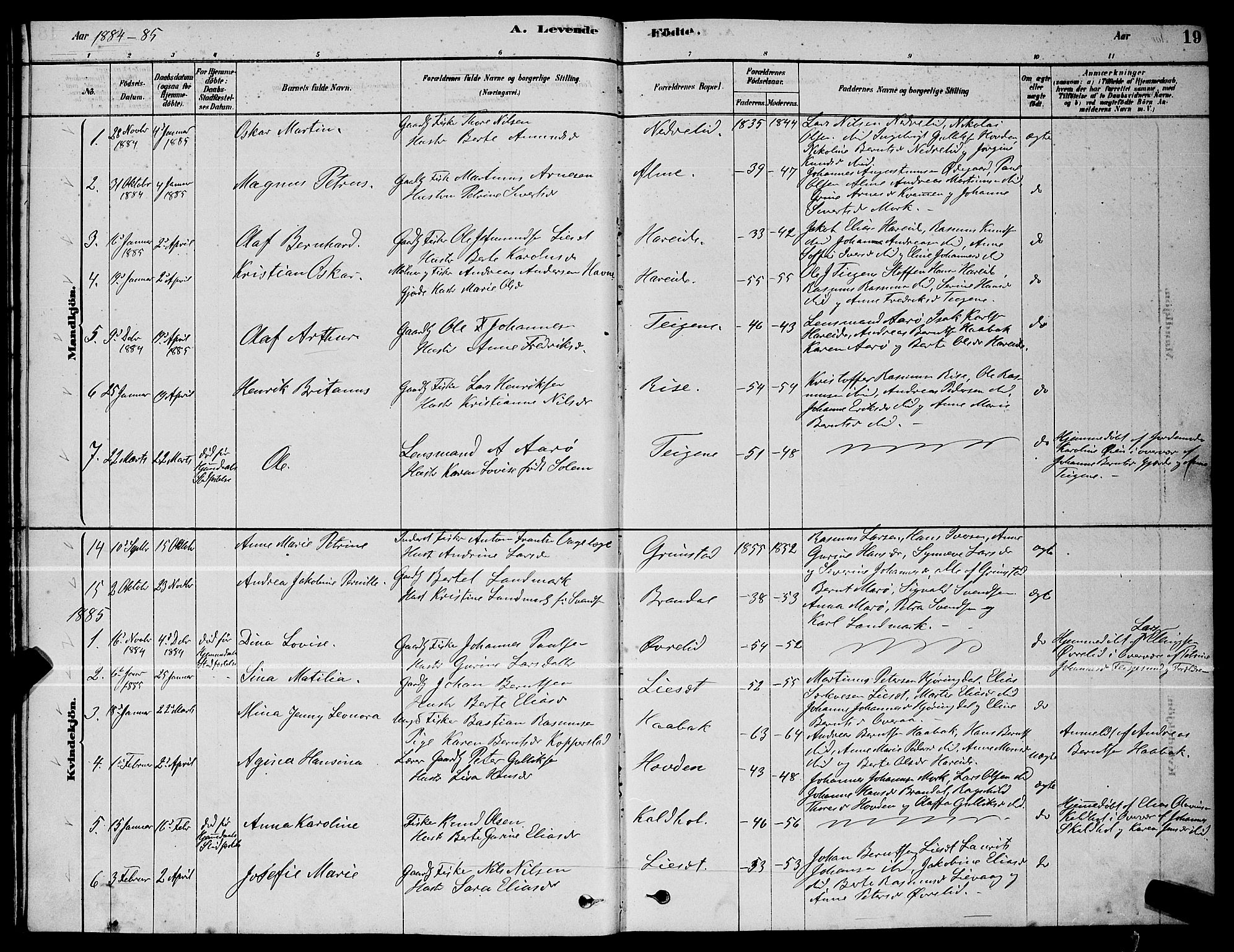 Ministerialprotokoller, klokkerbøker og fødselsregistre - Møre og Romsdal, AV/SAT-A-1454/510/L0125: Parish register (copy) no. 510C02, 1878-1900, p. 19