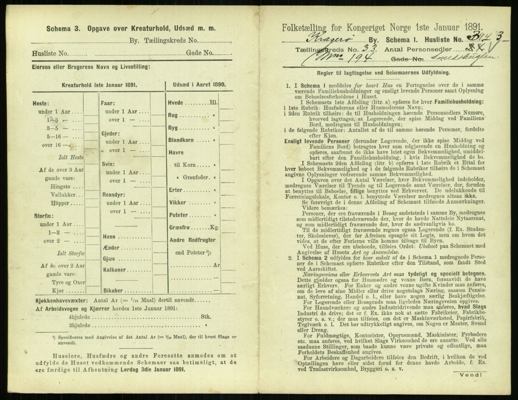 RA, 1891 census for 0801 Kragerø, 1891, p. 1202