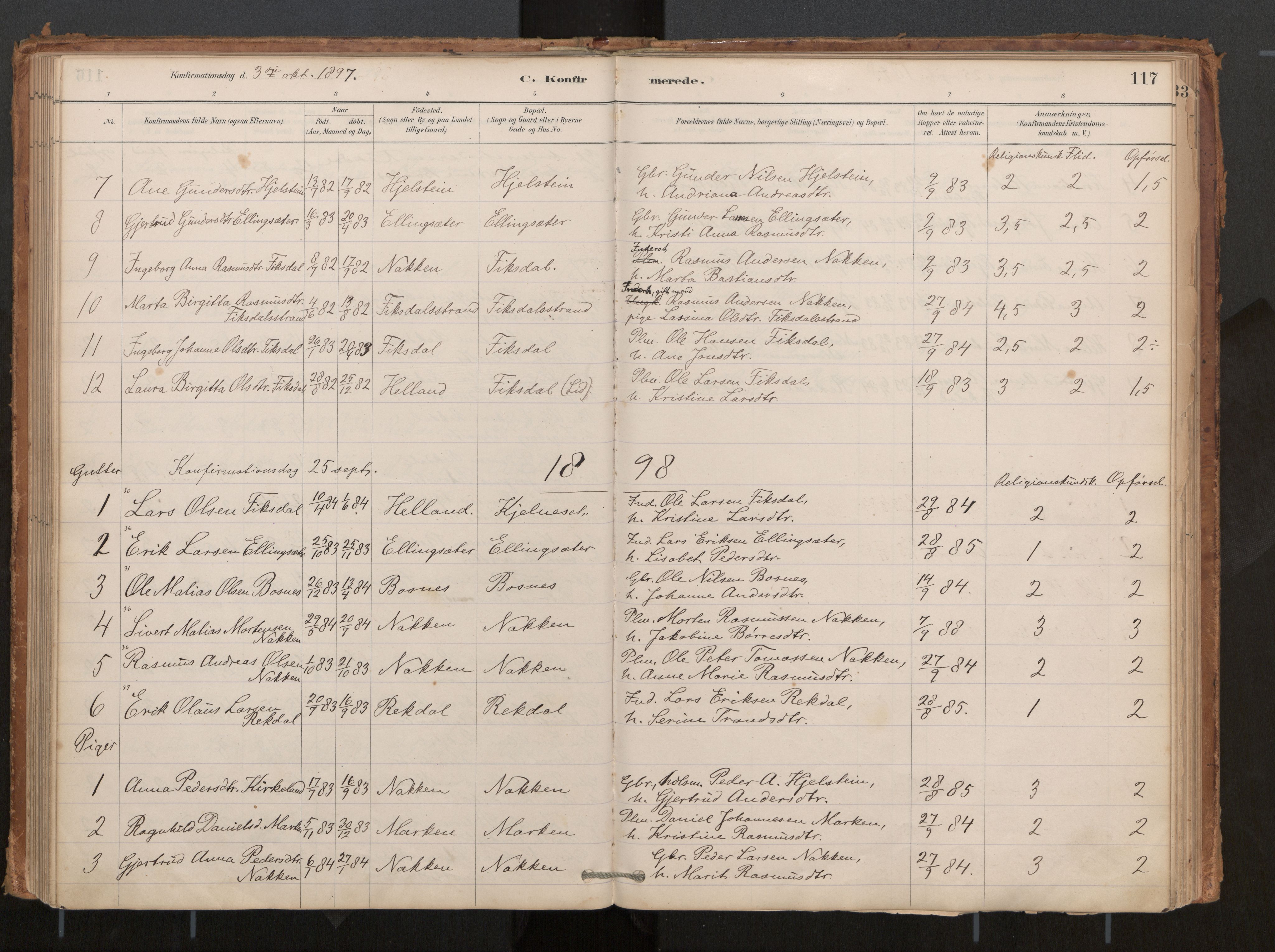 Ministerialprotokoller, klokkerbøker og fødselsregistre - Møre og Romsdal, AV/SAT-A-1454/540/L0540a: Parish register (official) no. 540A02, 1884-1908, p. 117