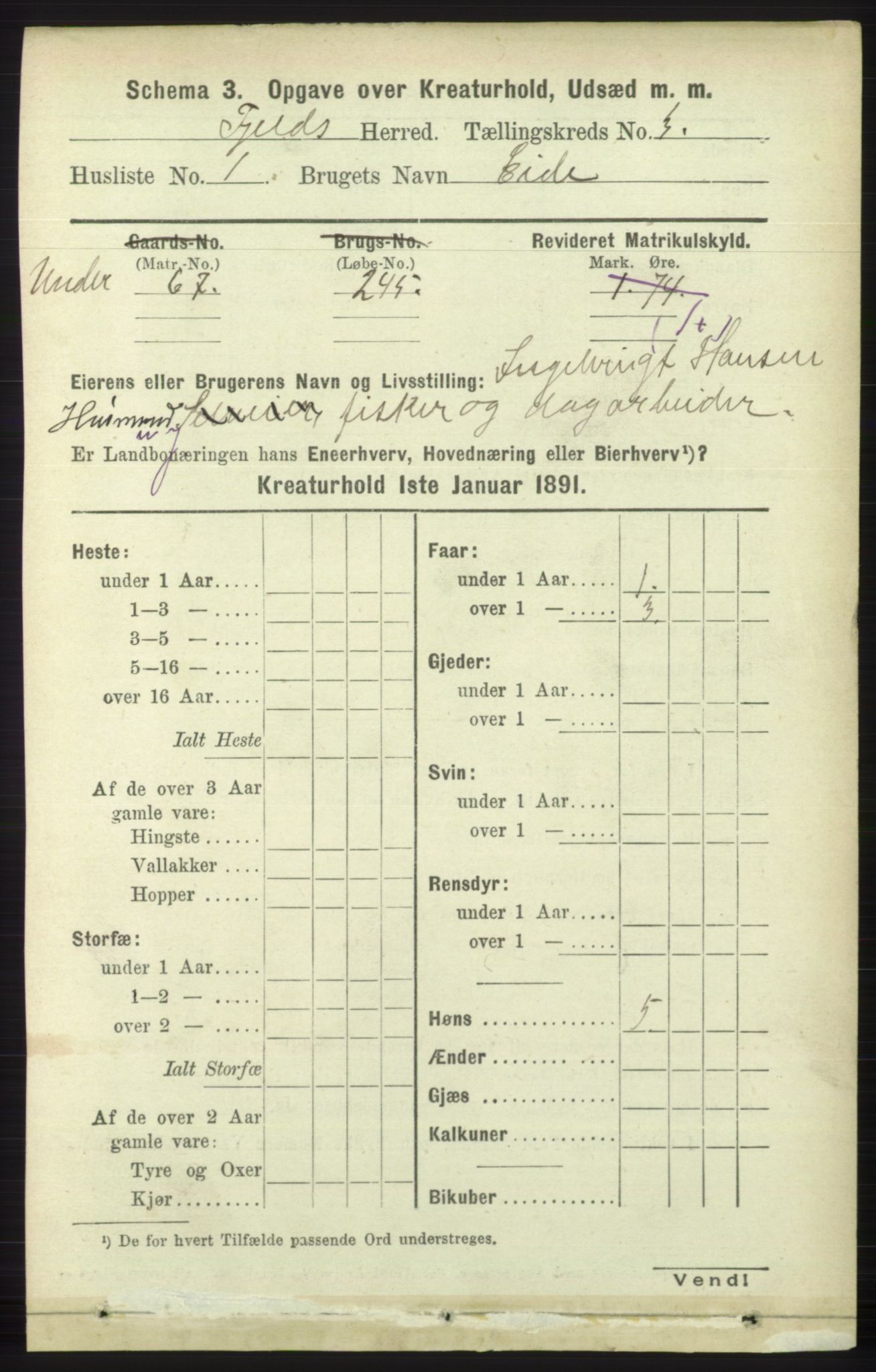 RA, 1891 census for 1246 Fjell, 1891, p. 4171