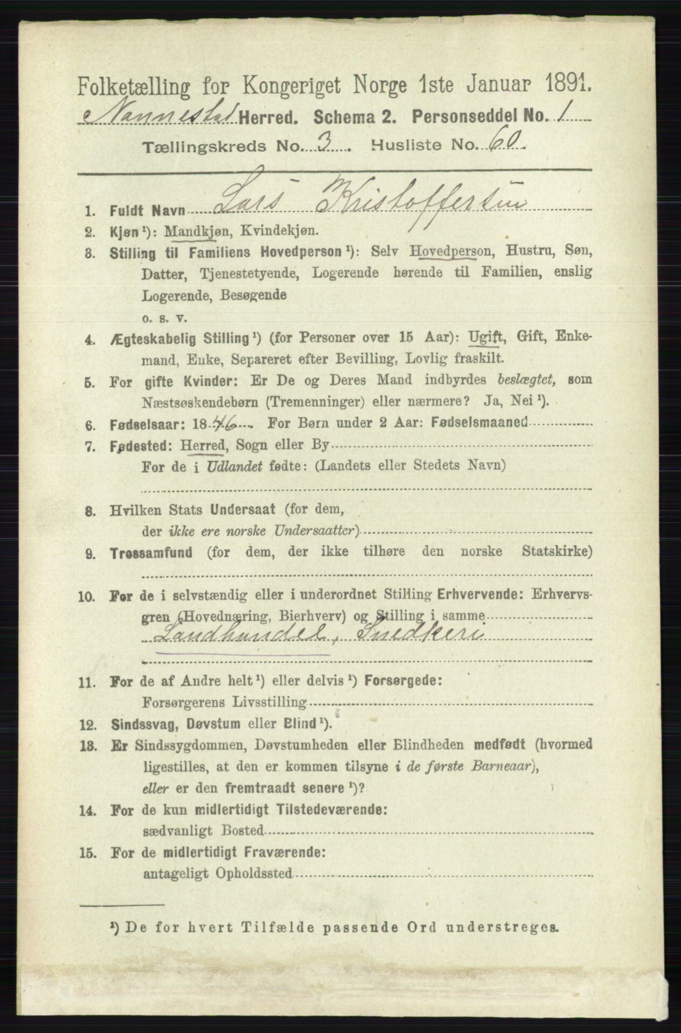 RA, 1891 census for 0238 Nannestad, 1891, p. 1817