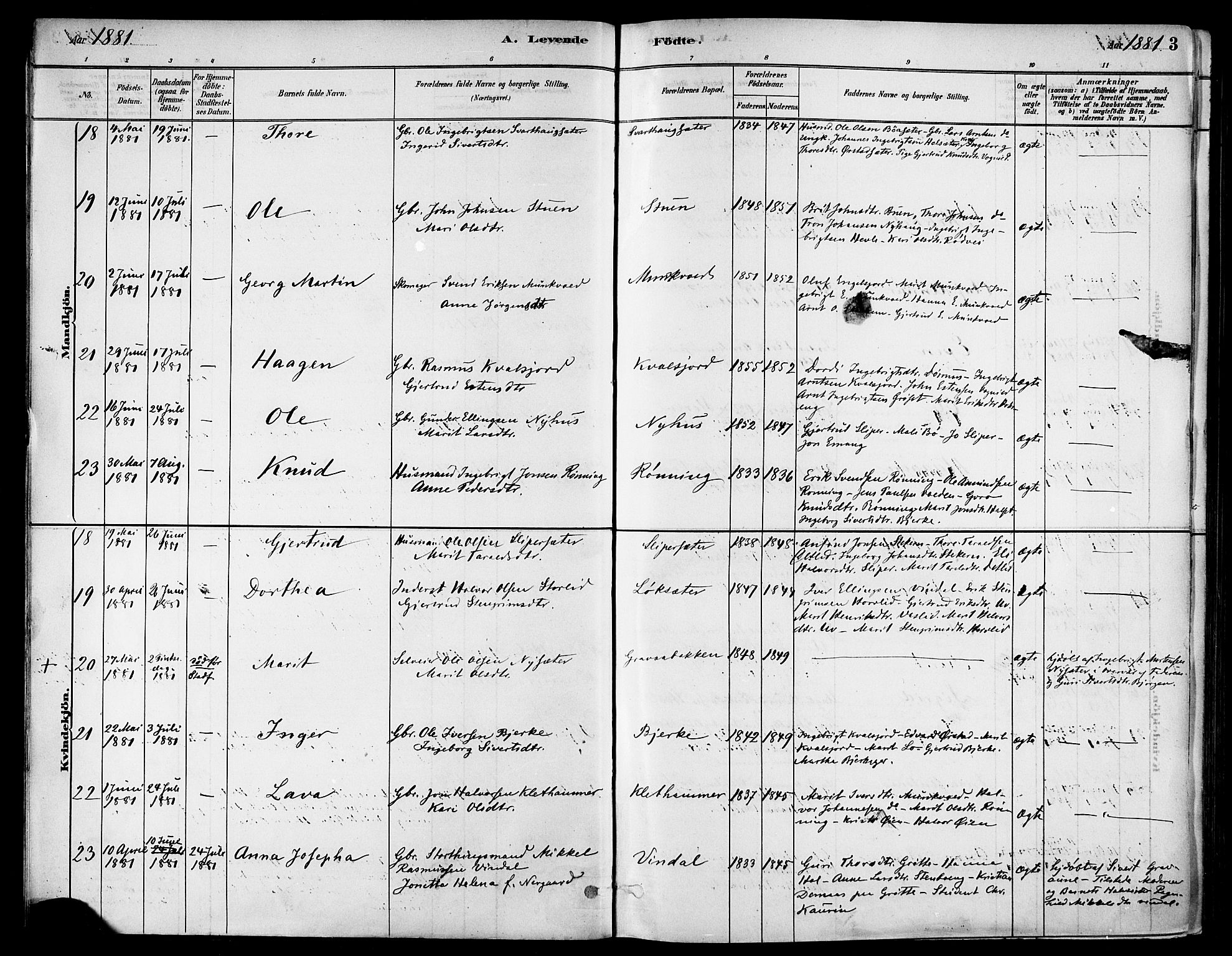 Ministerialprotokoller, klokkerbøker og fødselsregistre - Sør-Trøndelag, AV/SAT-A-1456/678/L0901: Parish register (official) no. 678A10, 1881-1894, p. 3