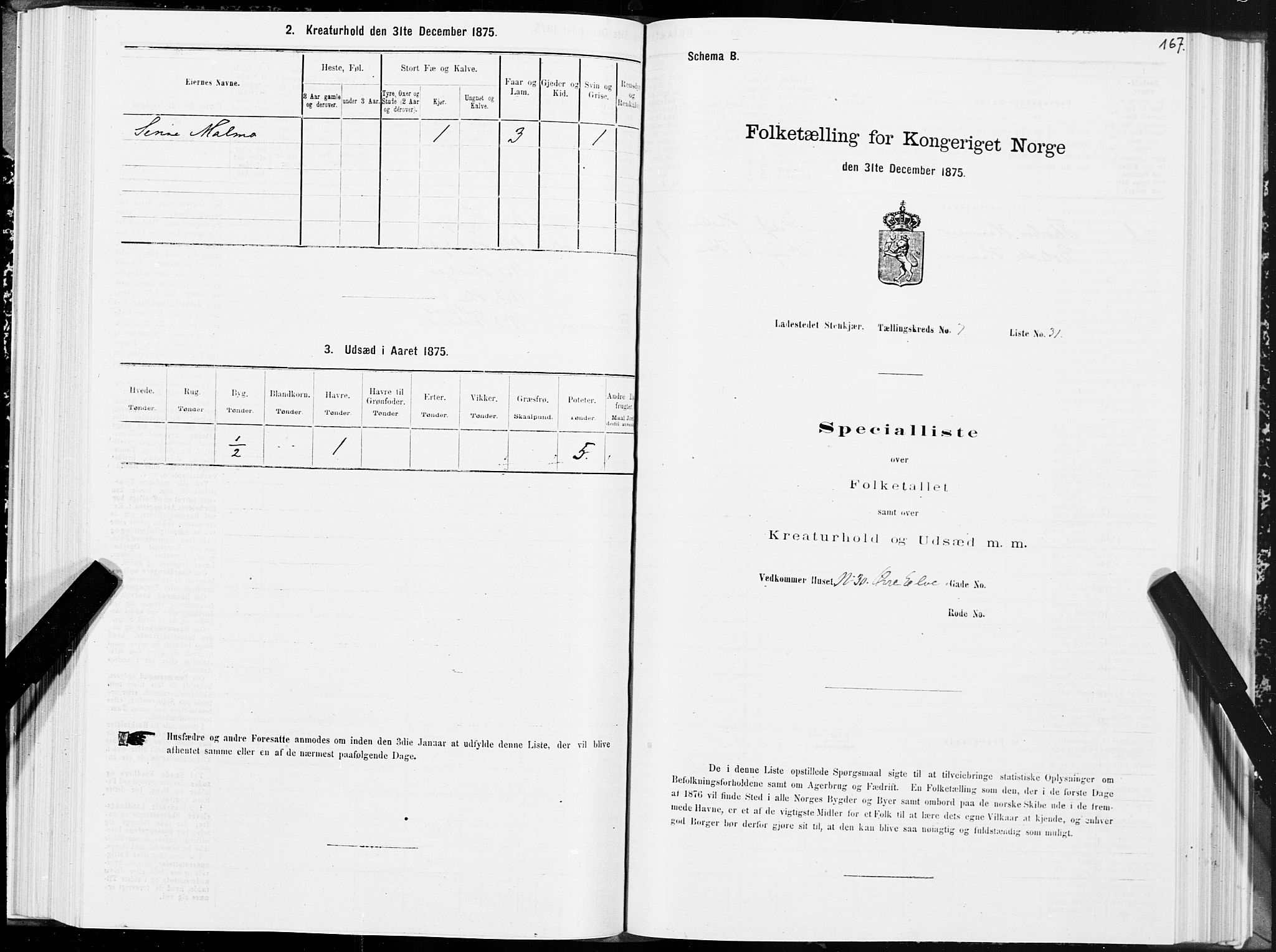 SAT, 1875 census for 1702B Steinkjer/Steinkjer, 1875, p. 167