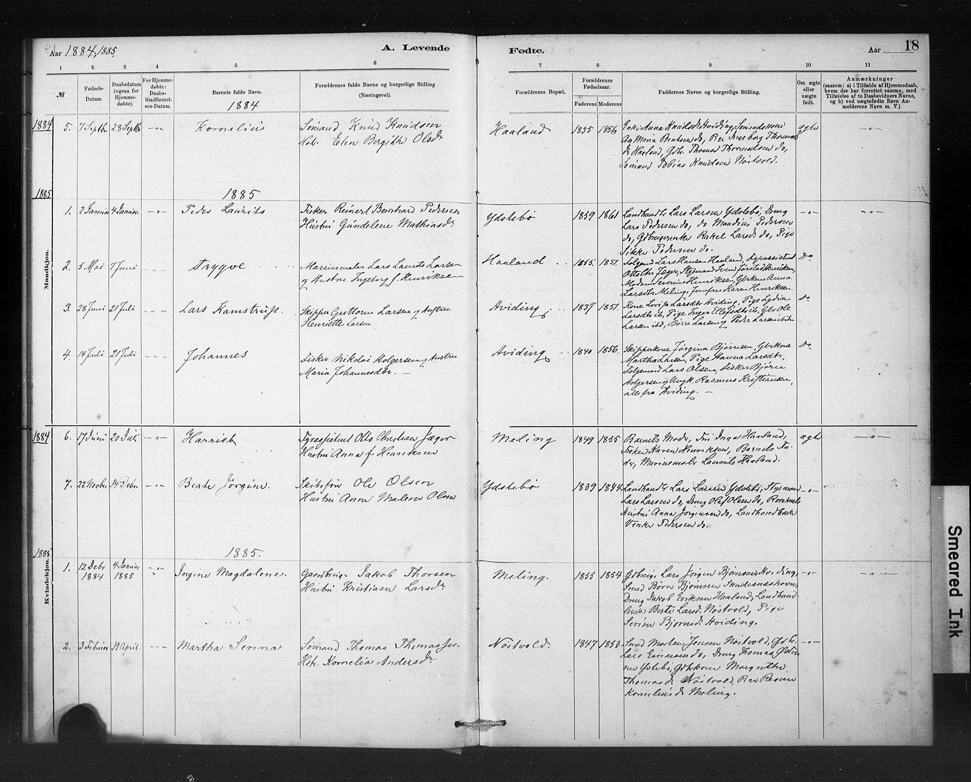 Rennesøy sokneprestkontor, SAST/A -101827/H/Ha/Haa/L0011: Parish register (official) no. A 11, 1878-1887, p. 18