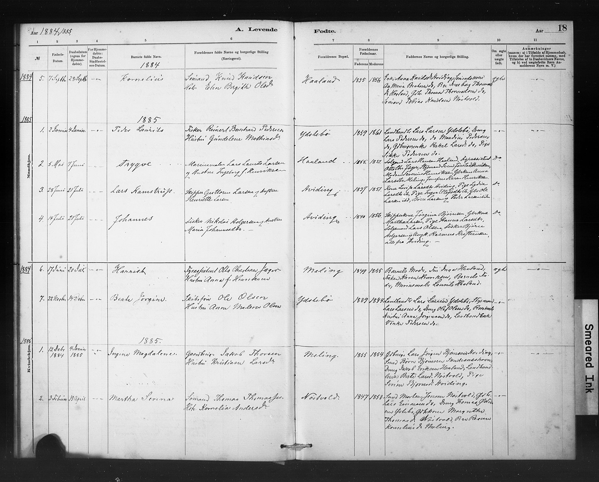 Rennesøy sokneprestkontor, AV/SAST-A -101827/H/Ha/Haa/L0011: Parish register (official) no. A 11, 1878-1887, p. 18