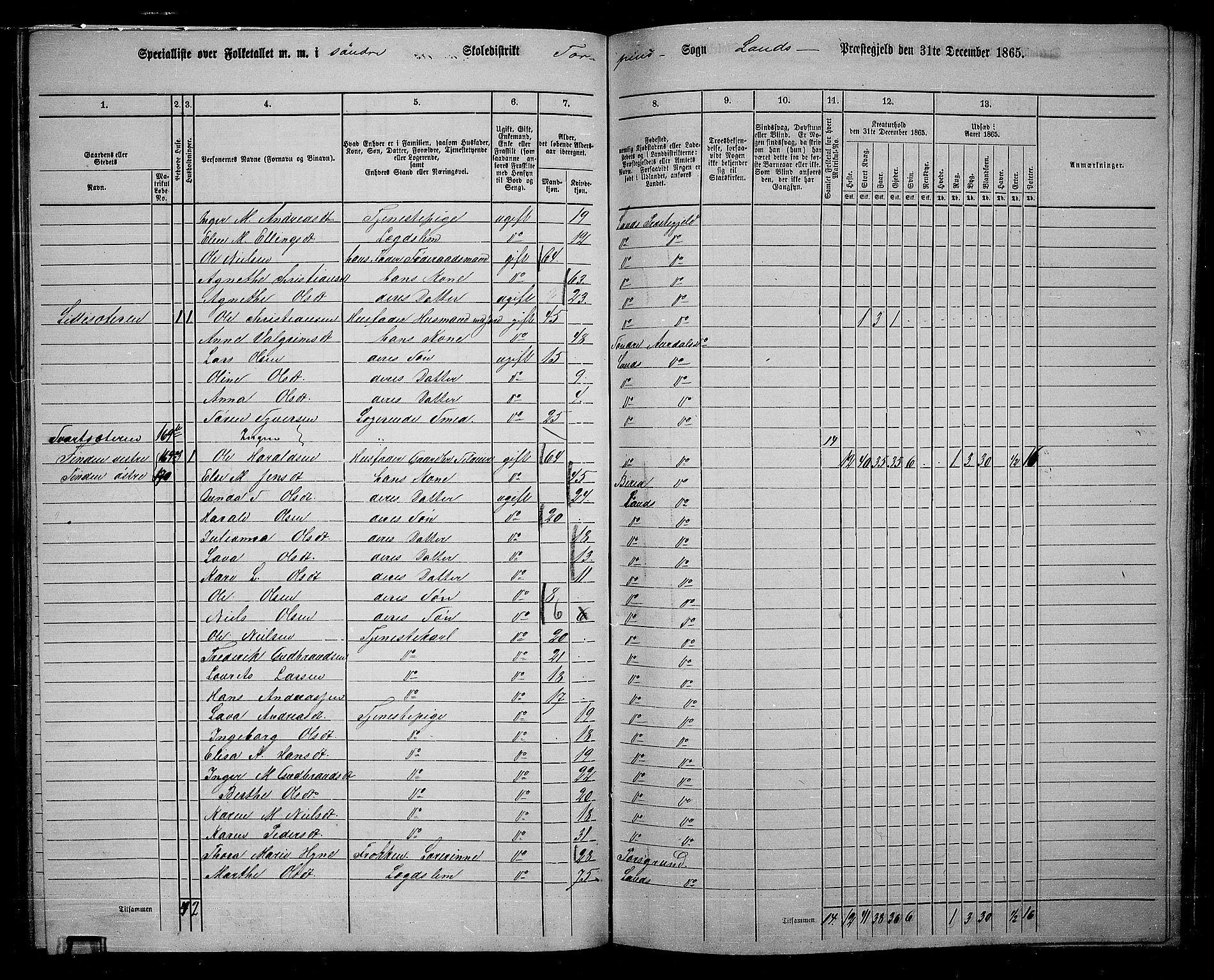 RA, 1865 census for Land, 1865, p. 118