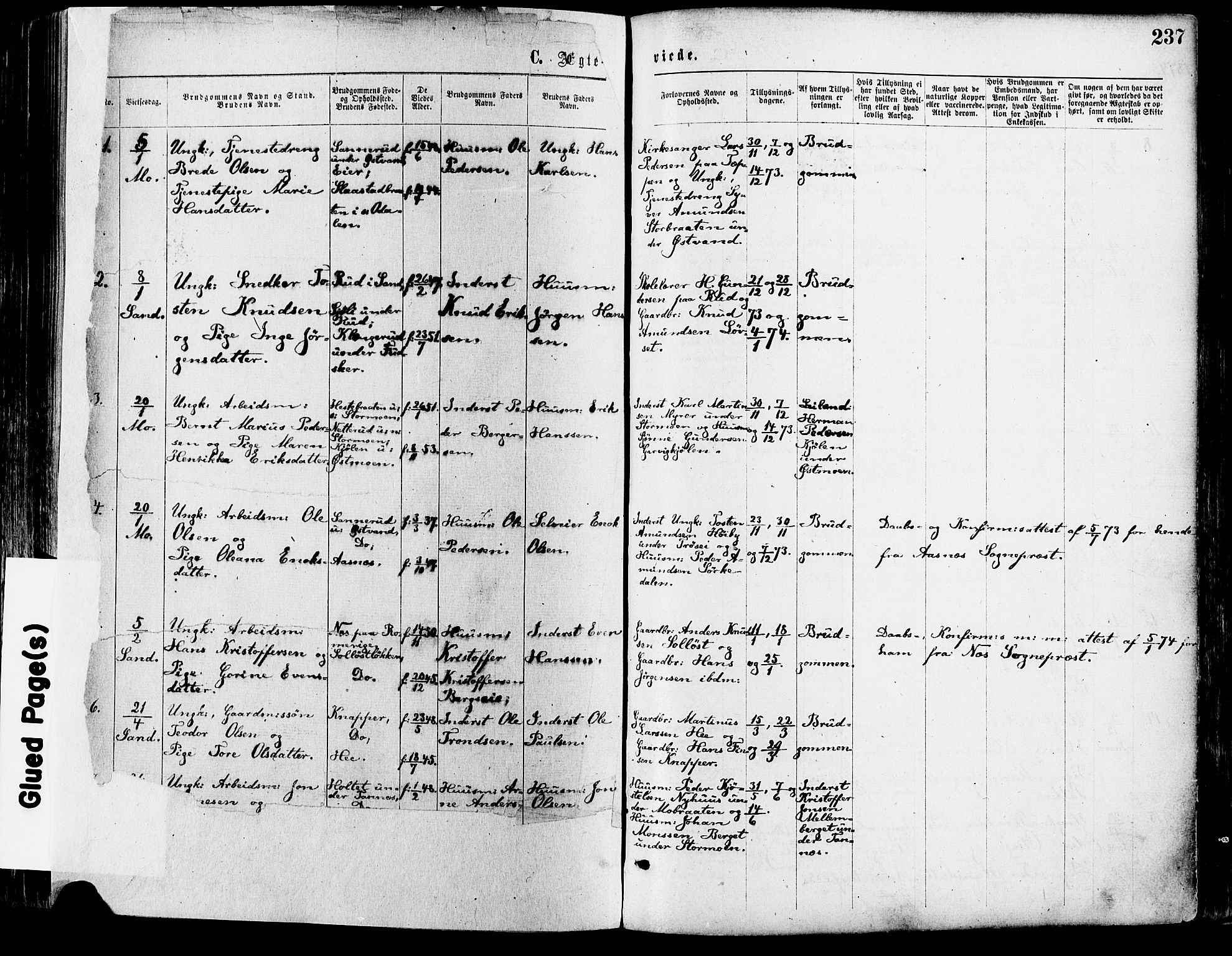 Nord-Odal prestekontor, SAH/PREST-032/H/Ha/Haa/L0005: Parish register (official) no. 5, 1874-1885, p. 237