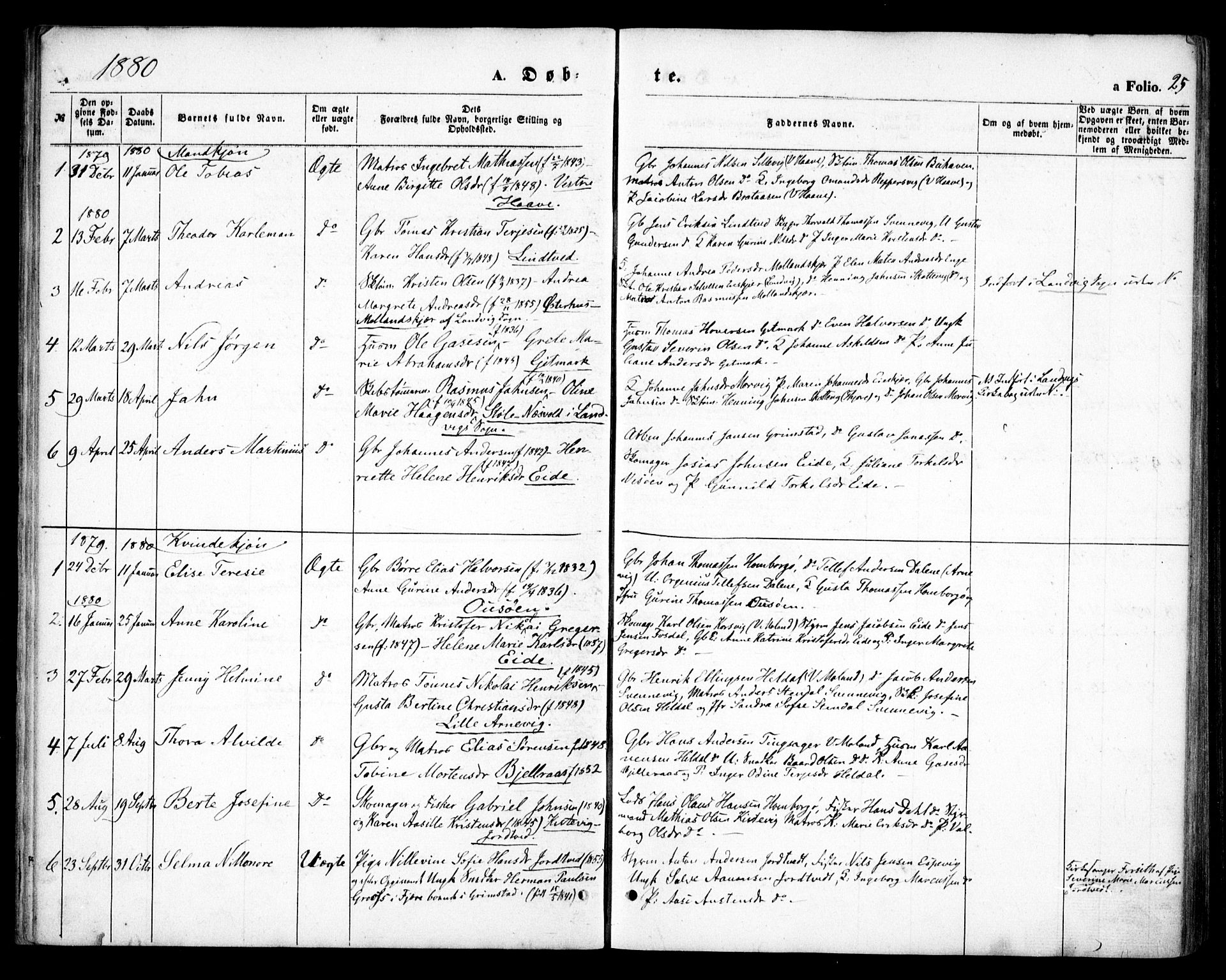 Hommedal sokneprestkontor, SAK/1111-0023/F/Fa/Faa/L0002: Parish register (official) no. A 2, 1861-1884, p. 25