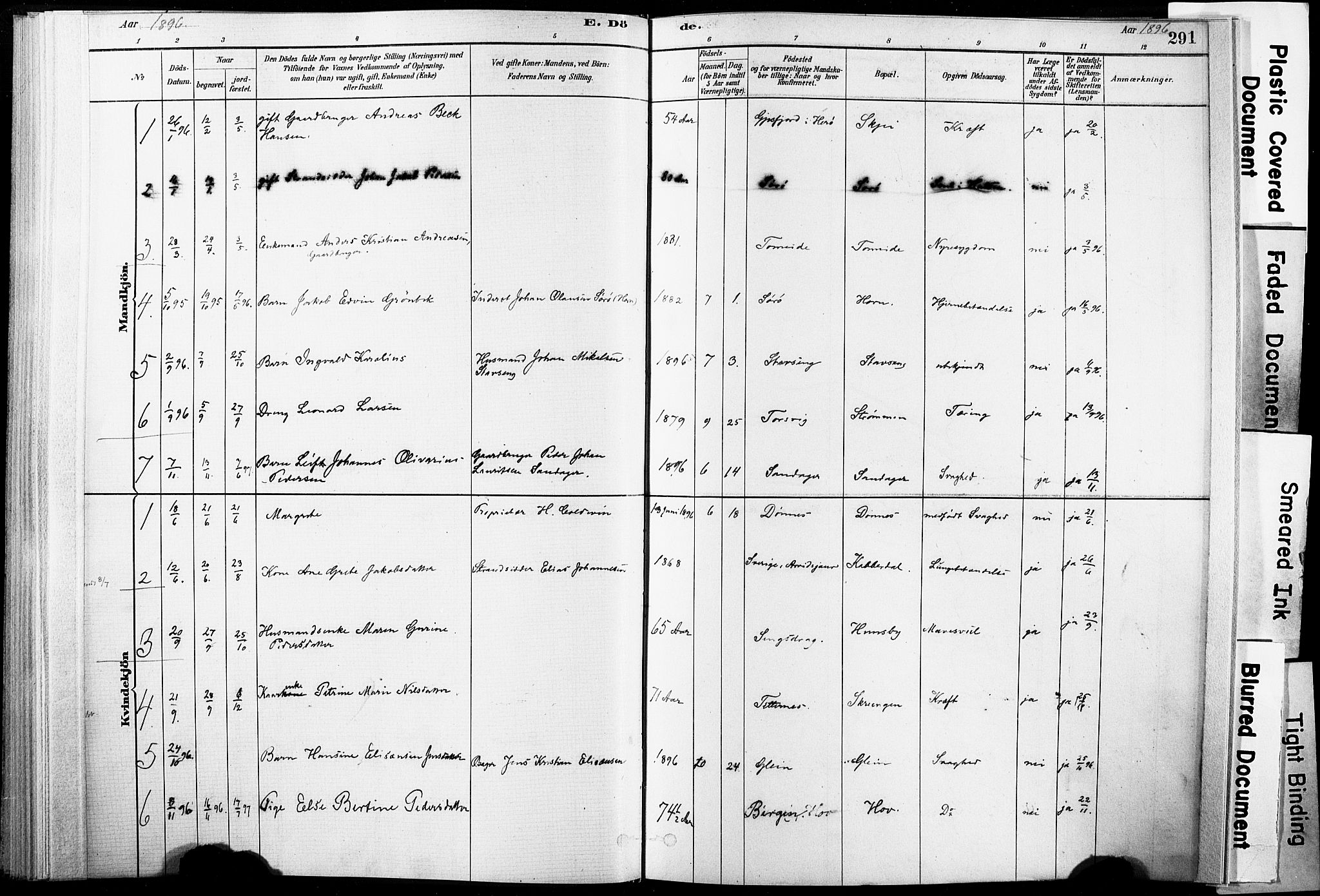 Ministerialprotokoller, klokkerbøker og fødselsregistre - Nordland, AV/SAT-A-1459/835/L0526: Parish register (official) no. 835A03II, 1881-1910, p. 291