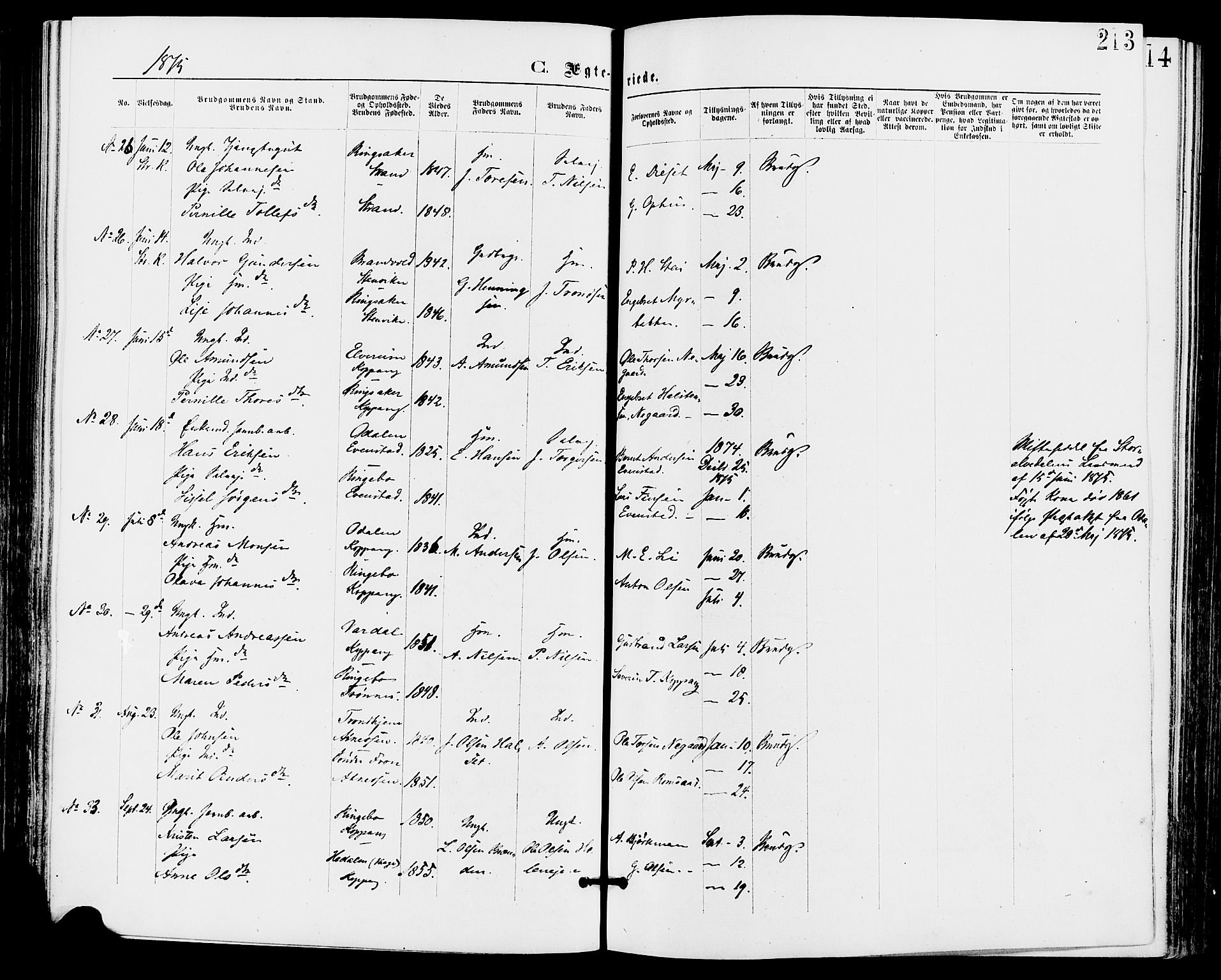 Stor-Elvdal prestekontor, AV/SAH-PREST-052/H/Ha/Haa/L0001: Parish register (official) no. 1, 1871-1882, p. 213